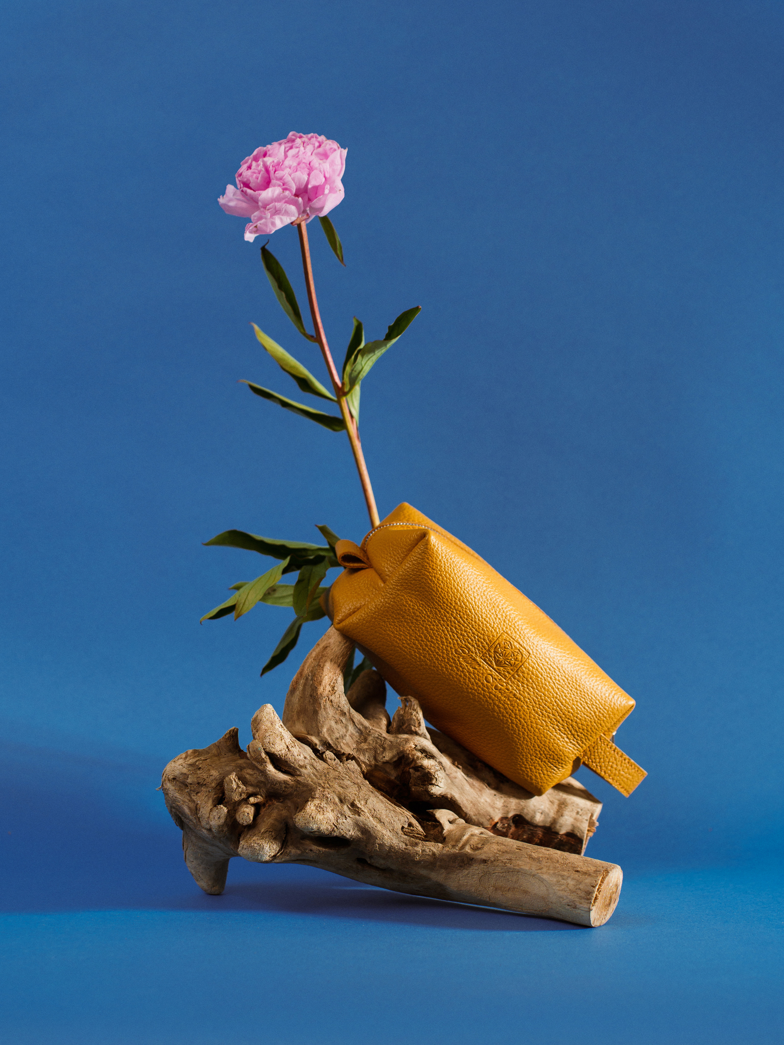 Профессиональный фотограф в Москве