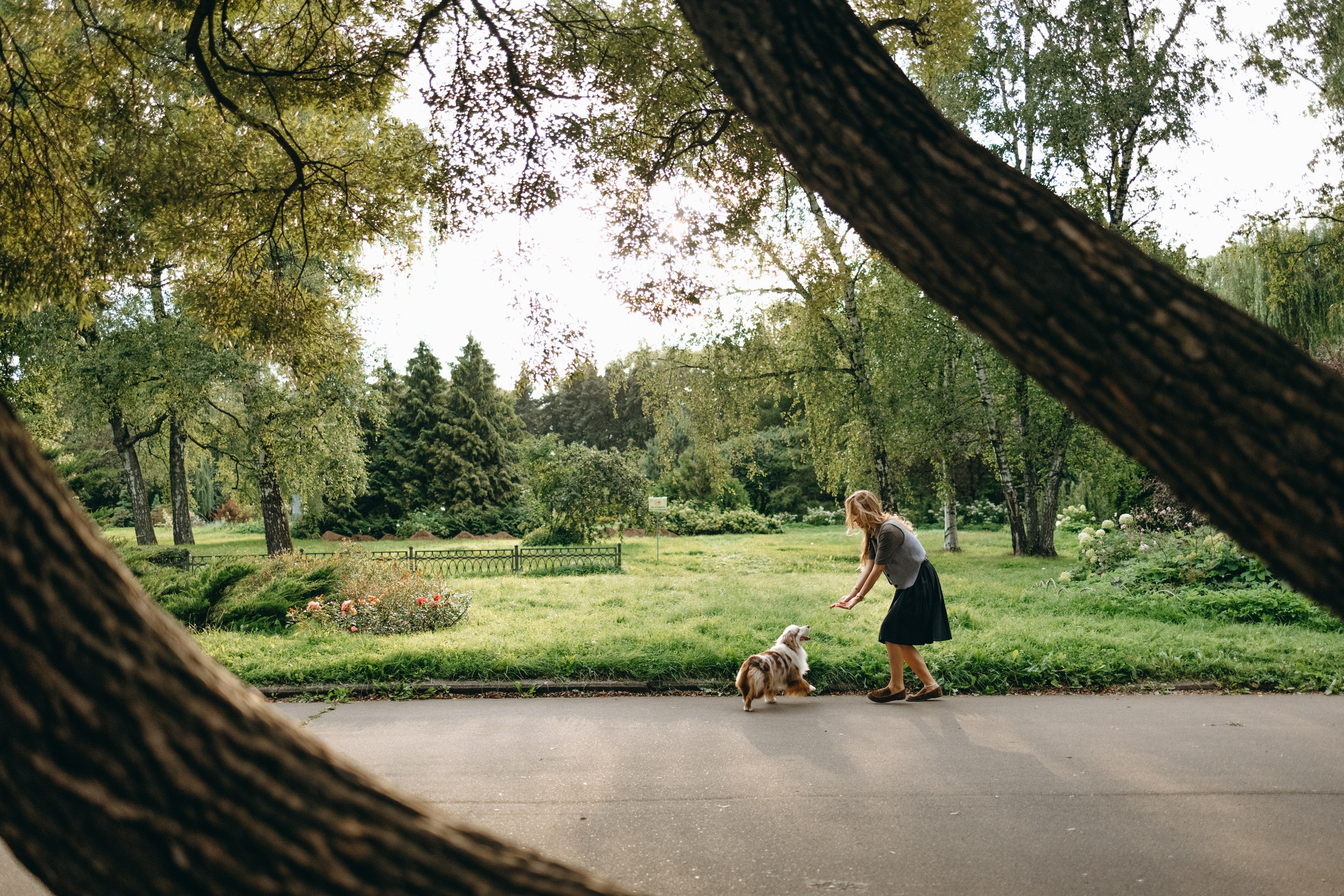 Маша и Эклер. Фотограф — Анималист | Санкт-Петербург