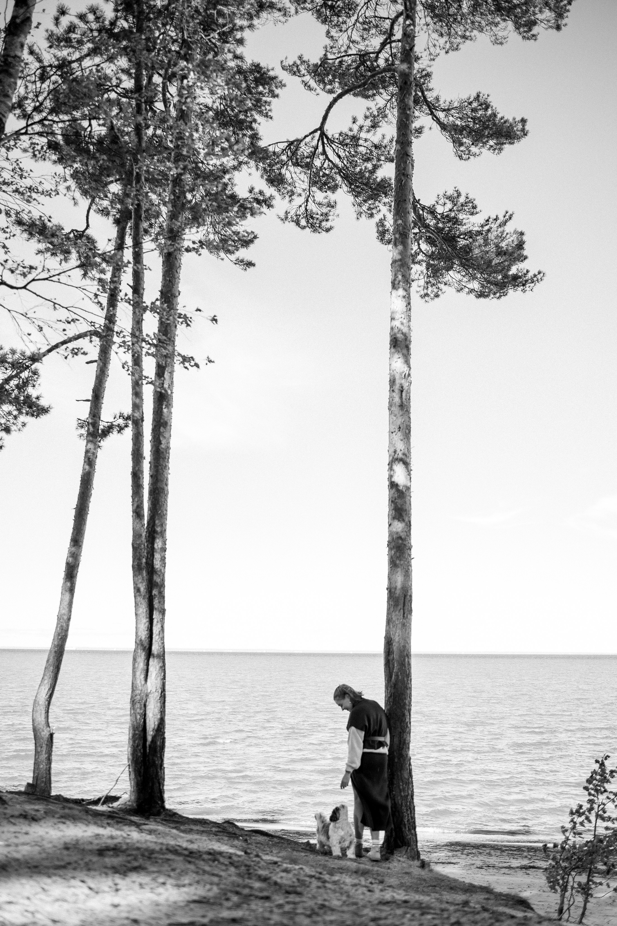 Настя и Франт. Фотограф — Анималист | Санкт-Петербург