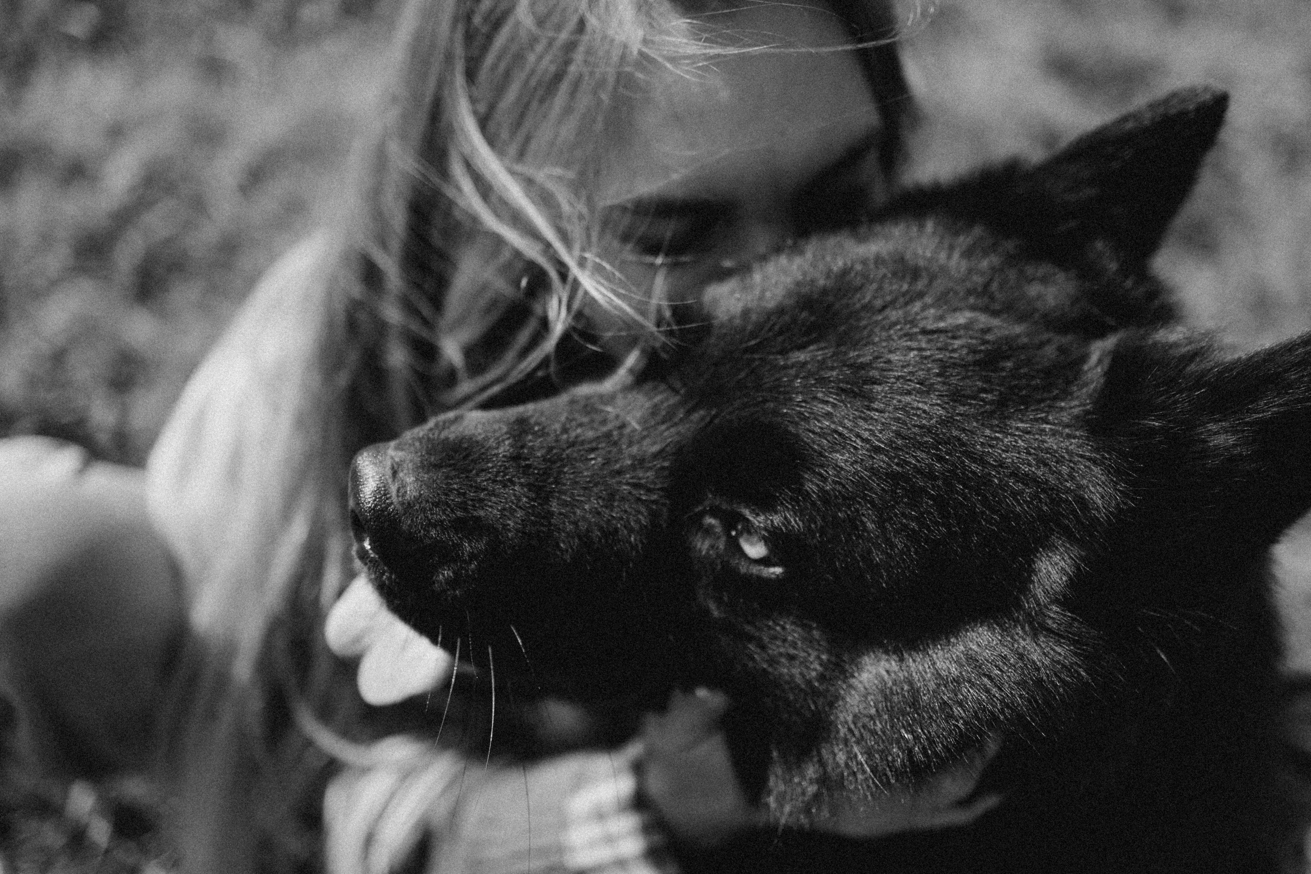 Лора и Джанго. Фотограф — Анималист | Санкт-Петербург