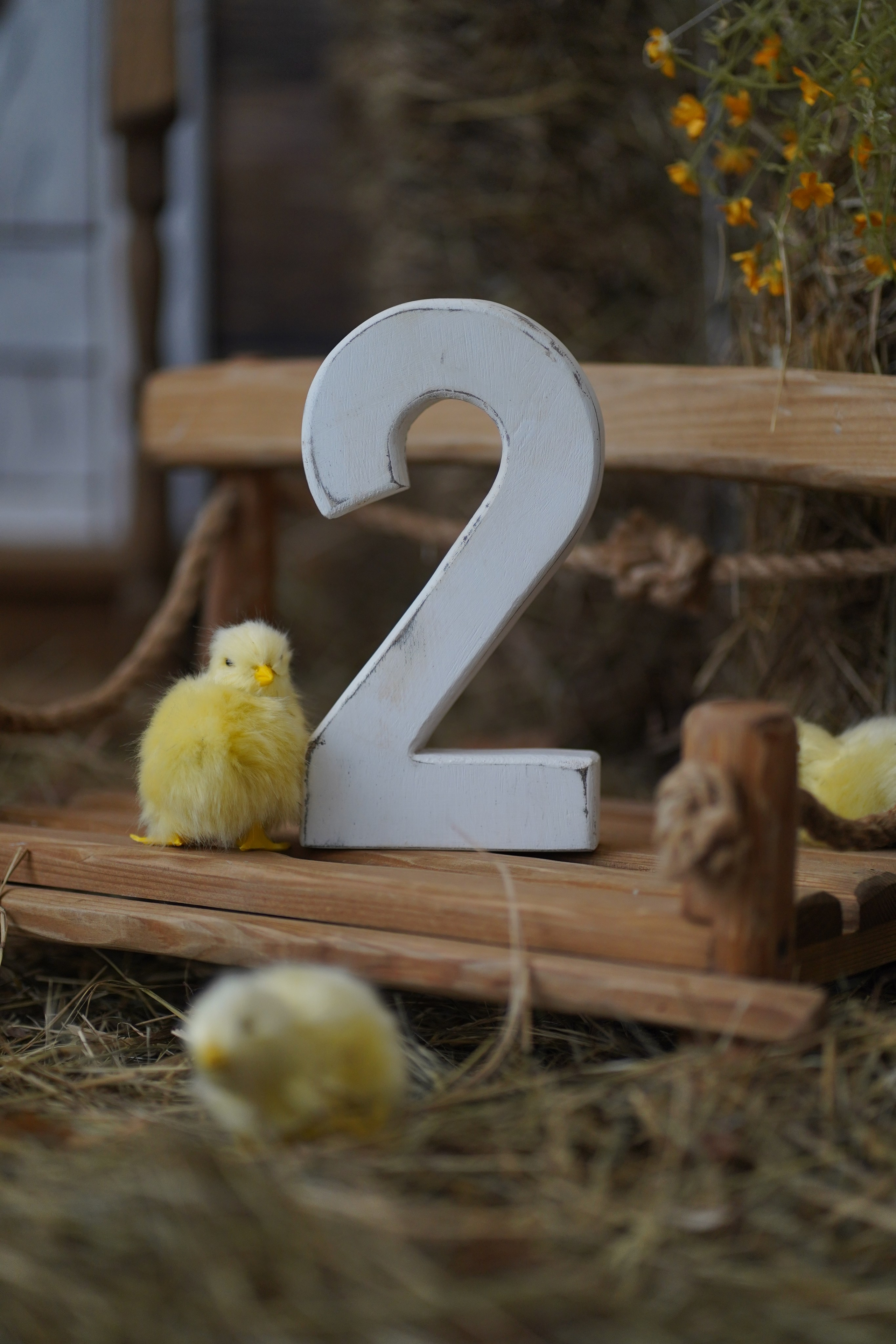 HB. Фотограф в Москве и МО