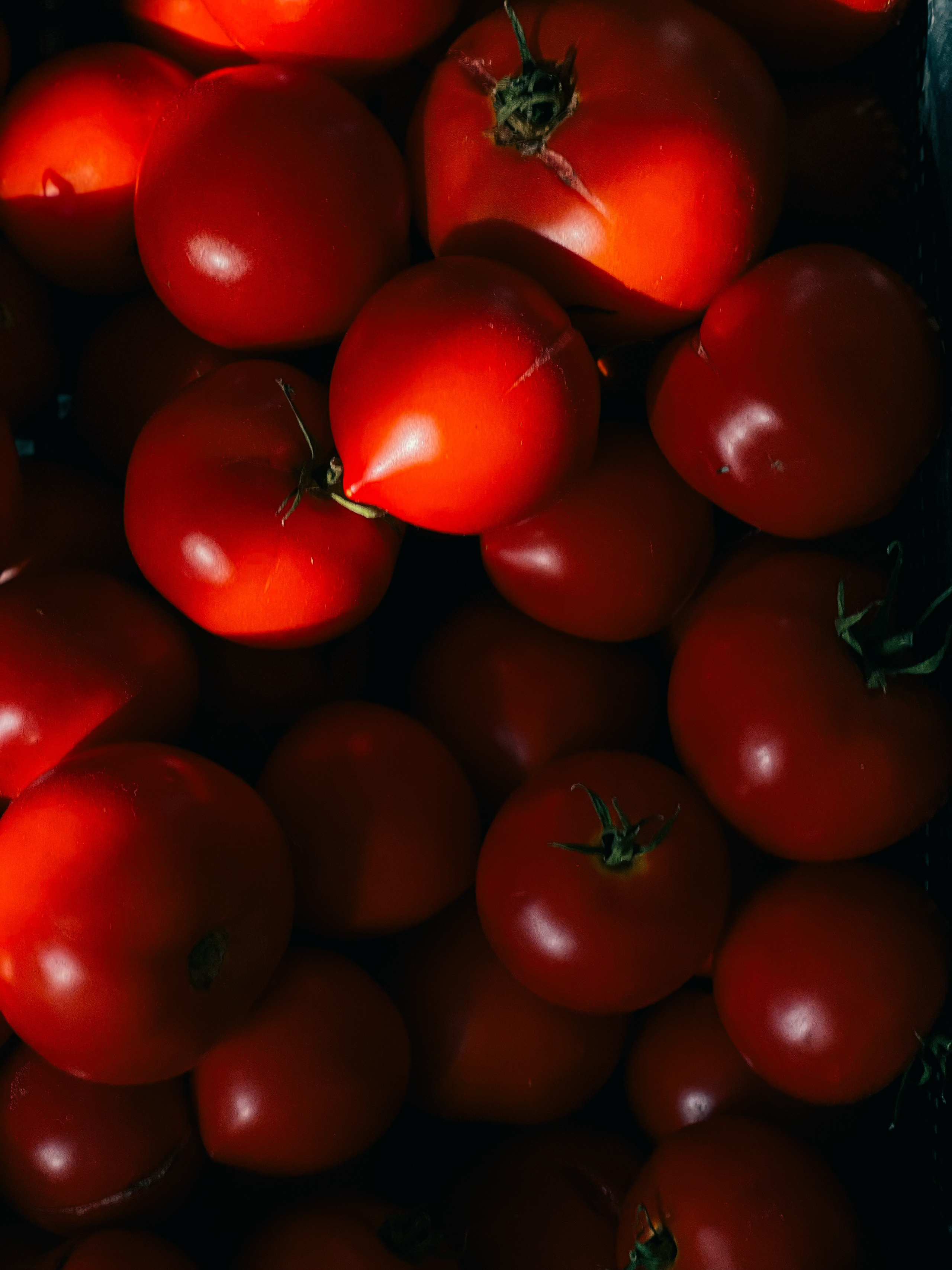 Food. Алёна Стерхова — Предметный и портретный фотограф. Ижевск