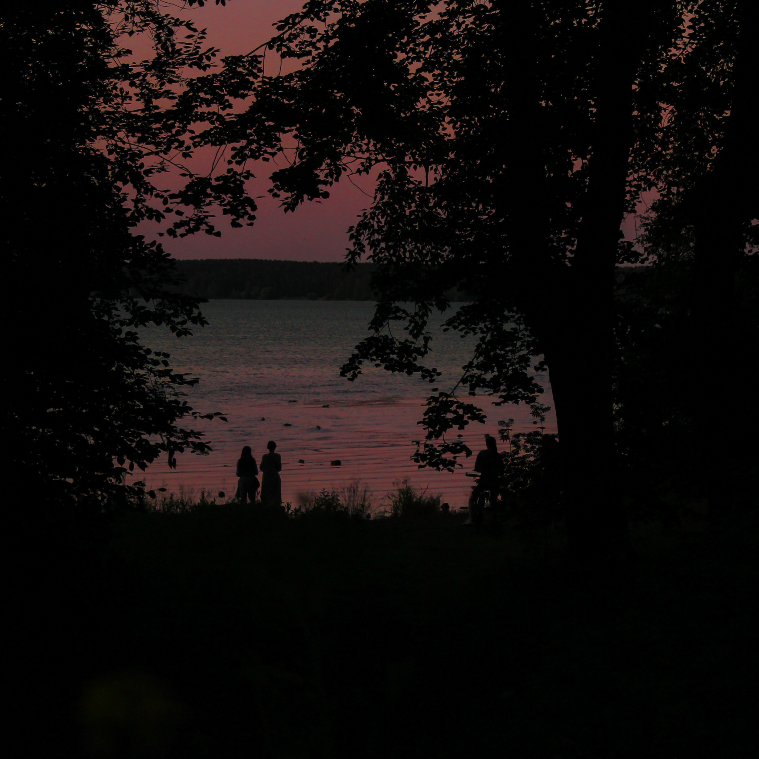 Summertime. Фотограф/дизайнер в Екатеринбурге Хитрый Дмитрий