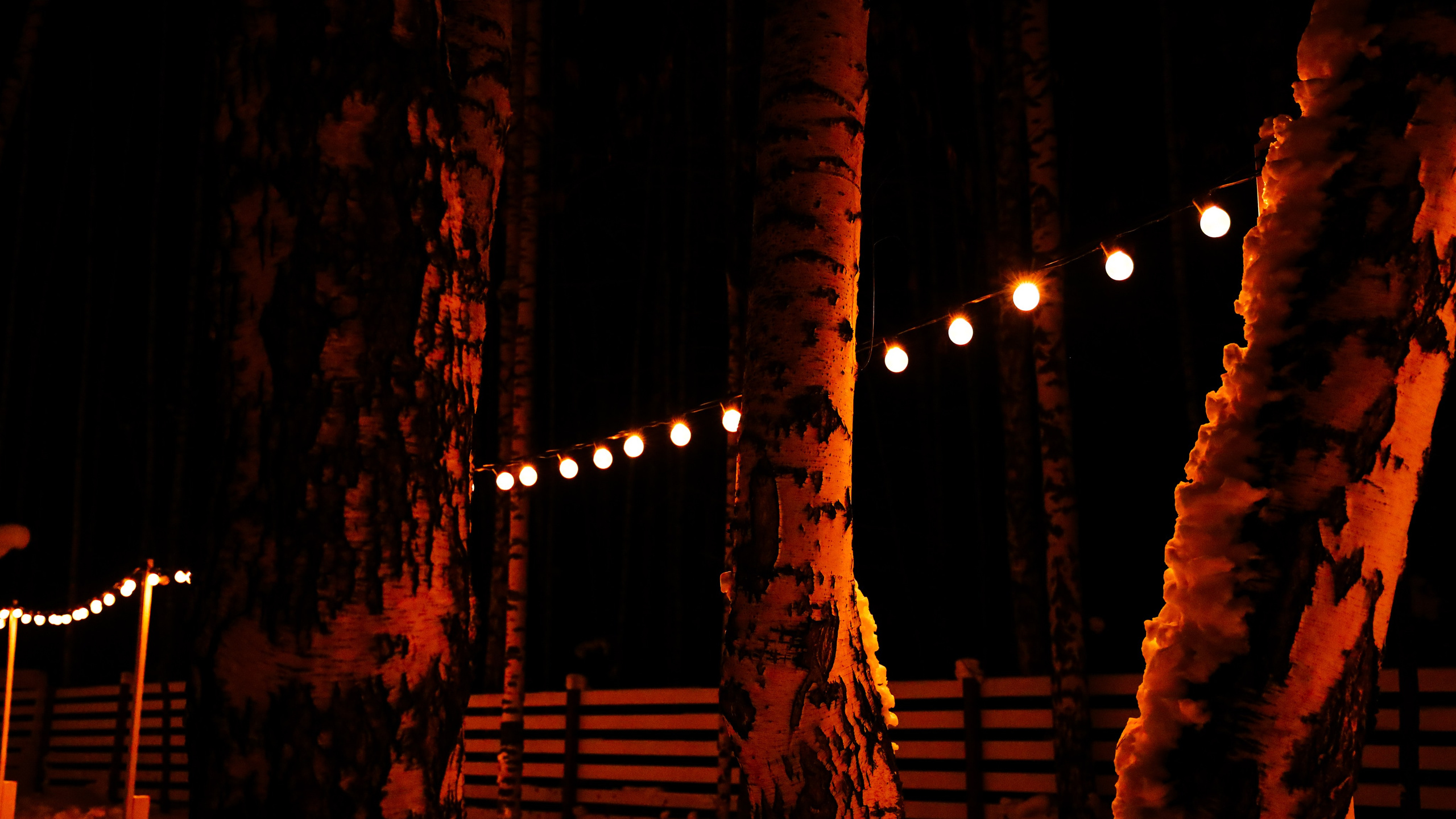 Alpaca park. Фотограф/дизайнер в Екатеринбурге Хитрый Дмитрий