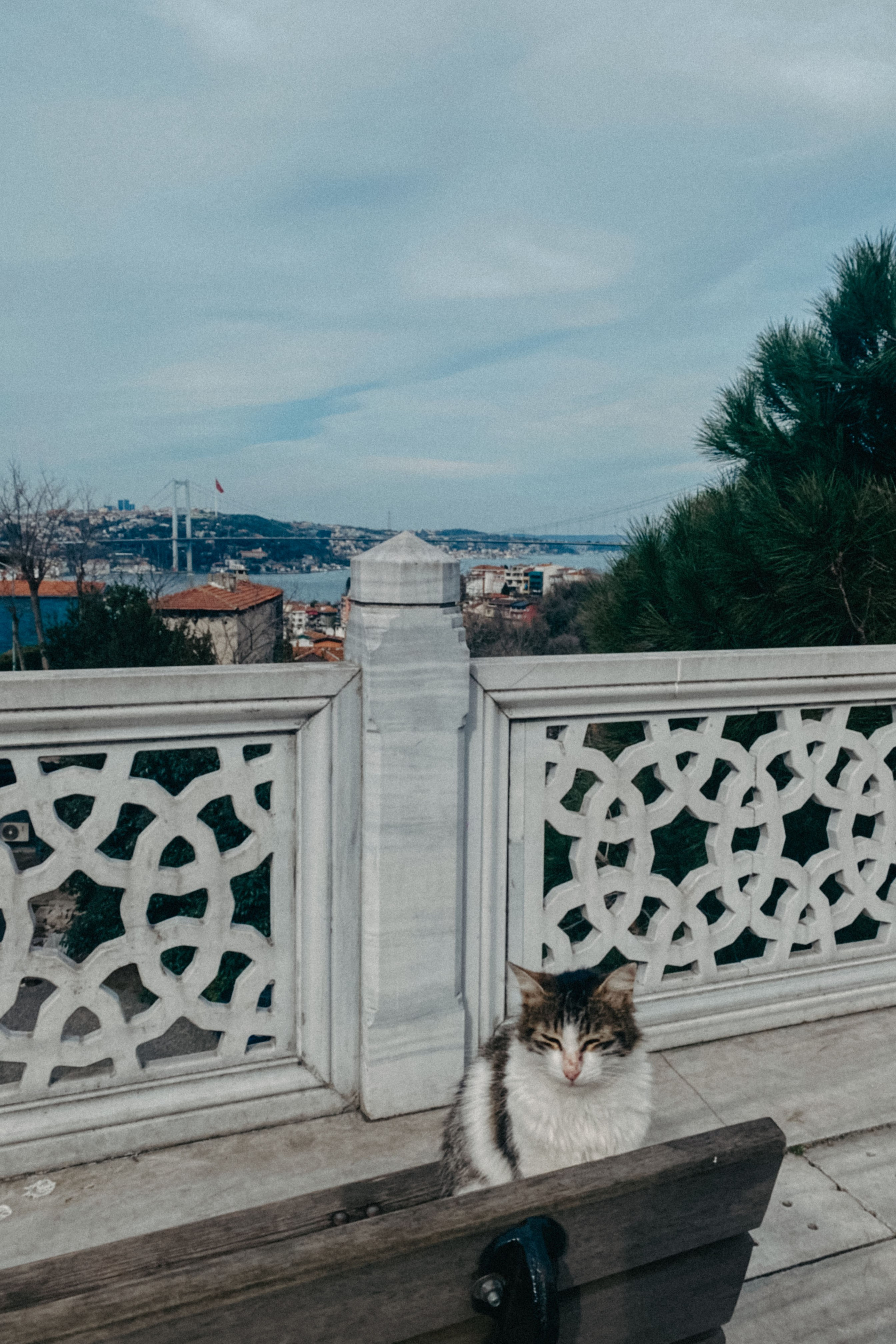 Стамбул. Фотограф Тбилиси Саша Мороз