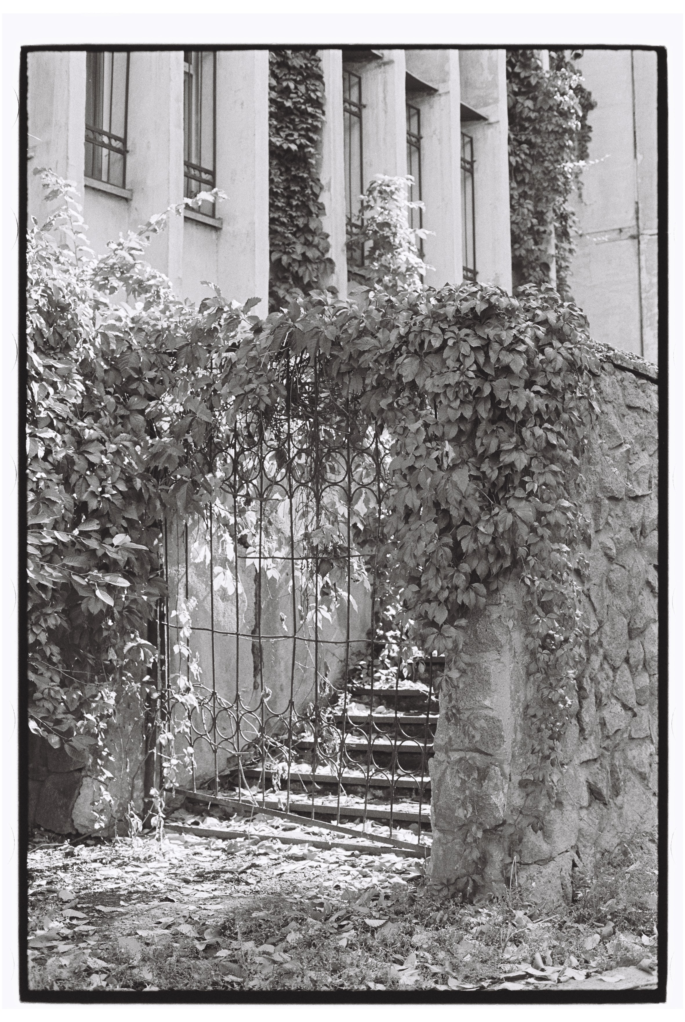 Almaty. Philipp Yelistratov