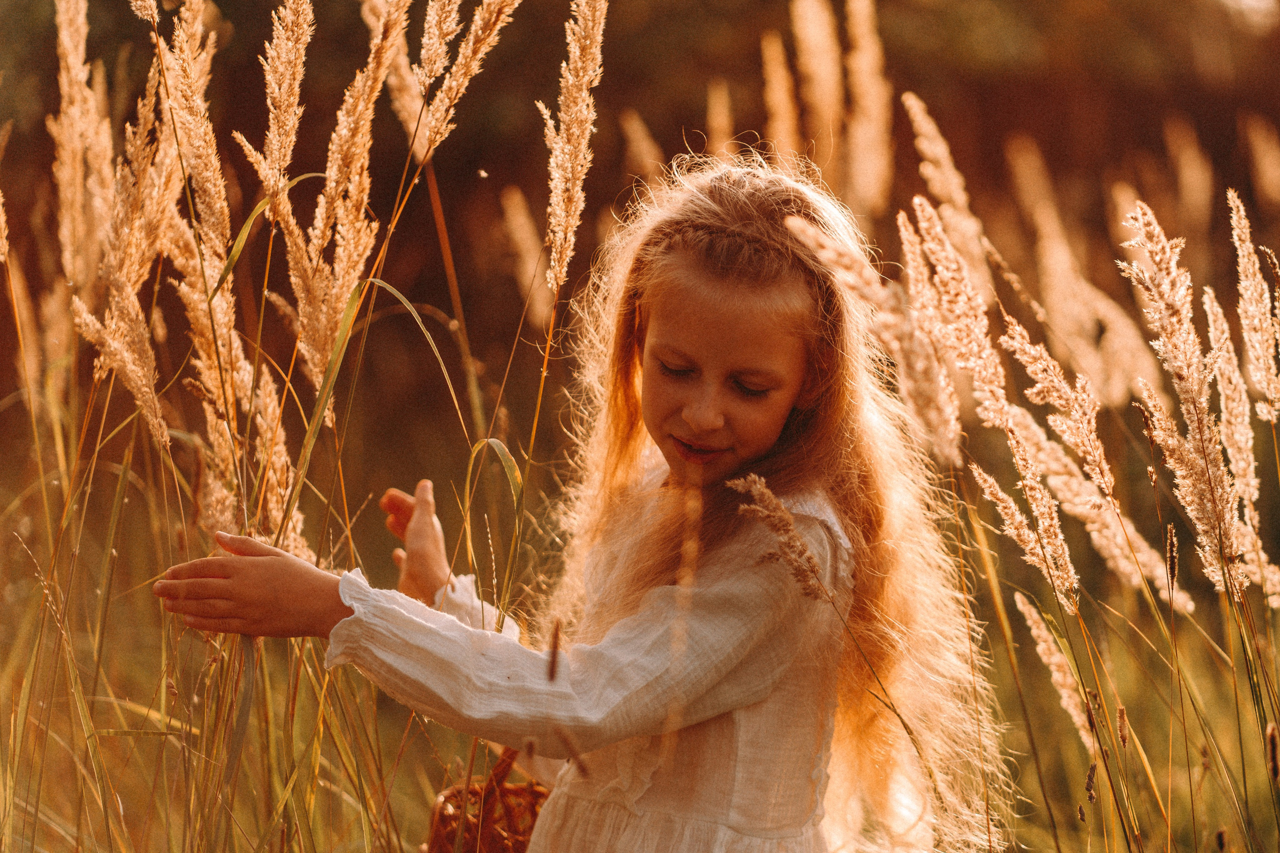 Летнее золото в волосах. Главная
