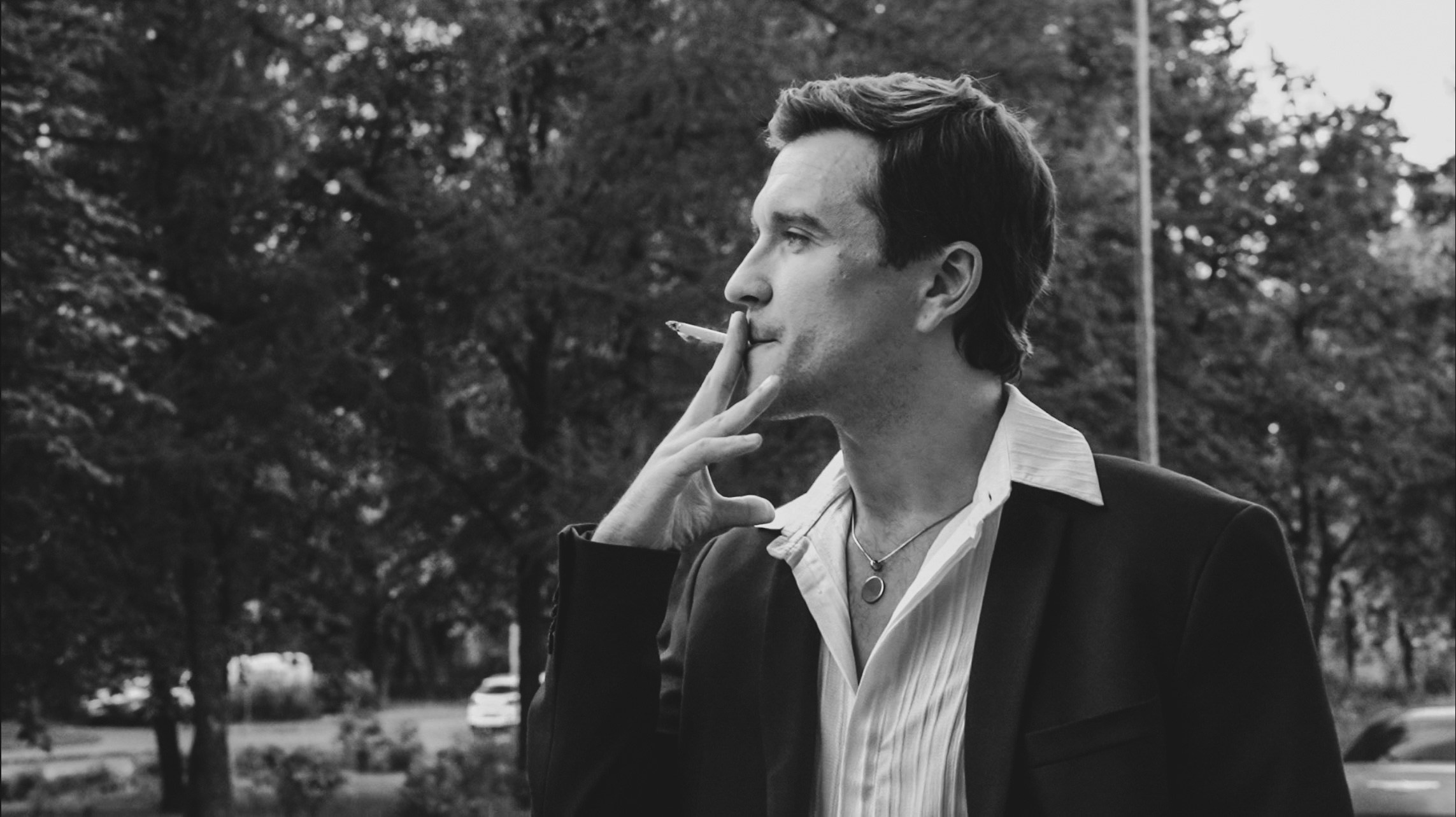 Галерея. Beardy Pix