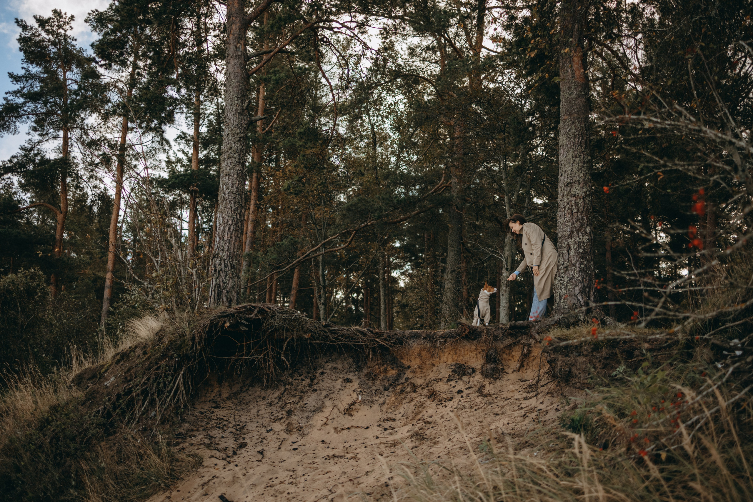 Алиса и Лео. Фотограф — Анималист | Санкт-Петербург