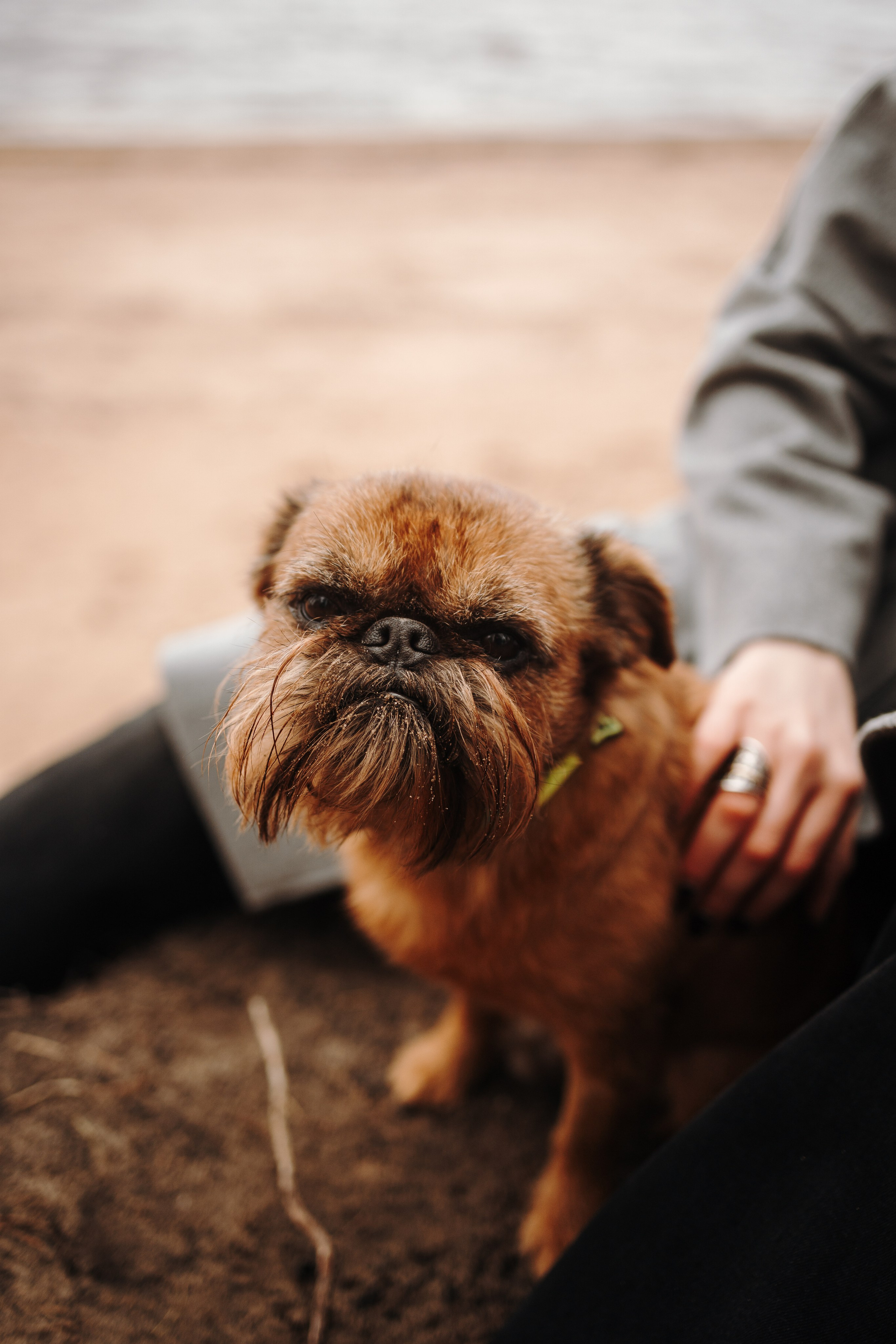 Вера и ее семья. Фотограф — Анималист | Санкт-Петербург