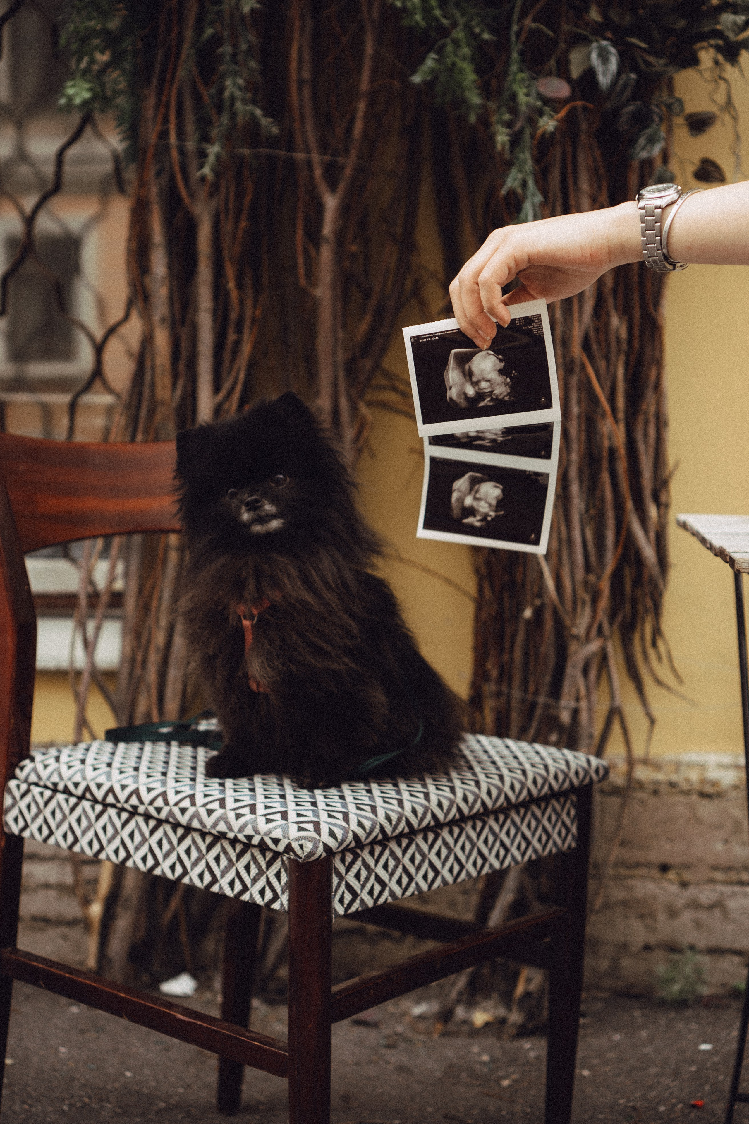 Беременность (только часть фото по желанию клиентов могу показать)). Профессиональный фотограф, Санкт-Петербург — Виктория Богомолова