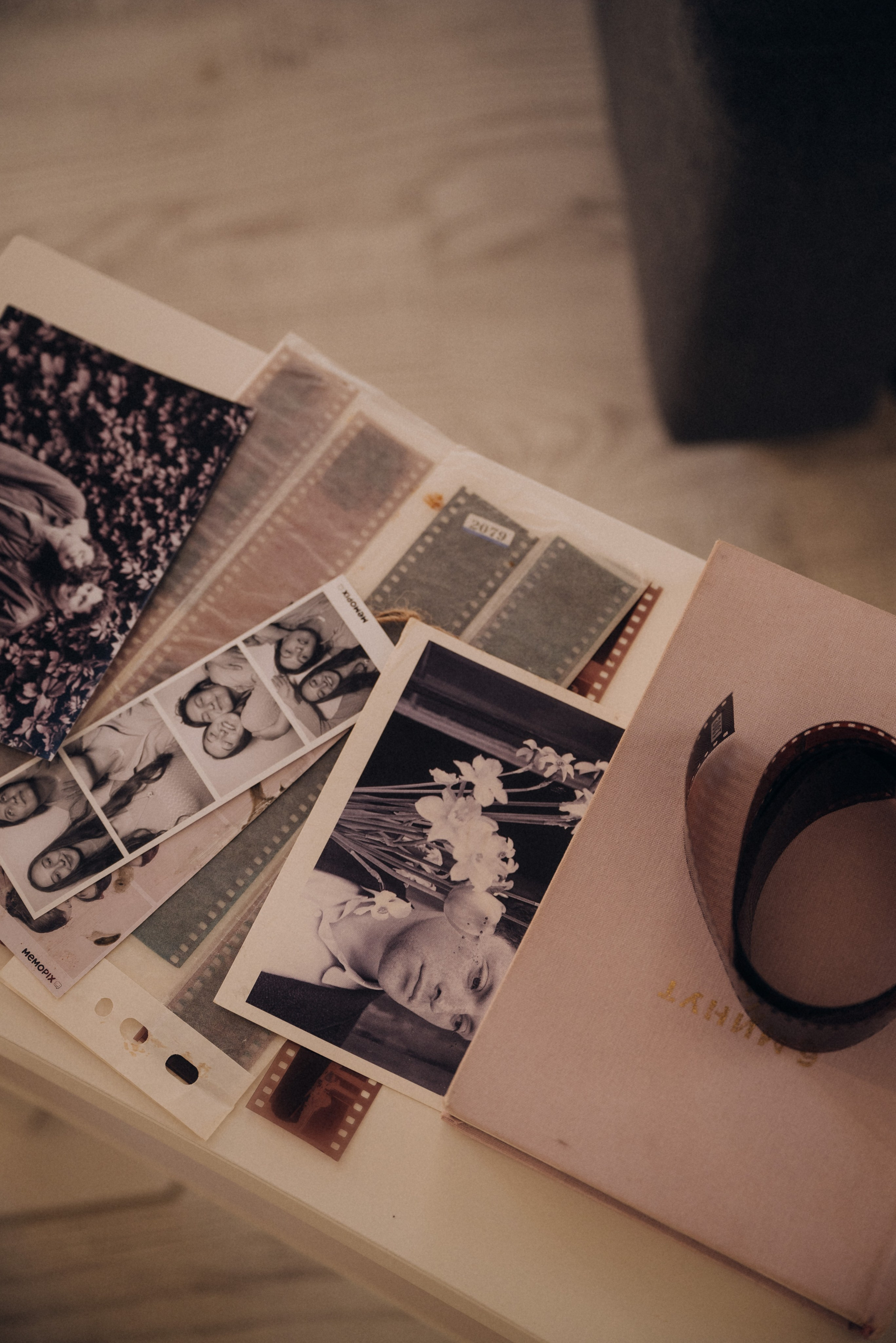 Домашние чтения. Анна Лобанова | фотограф