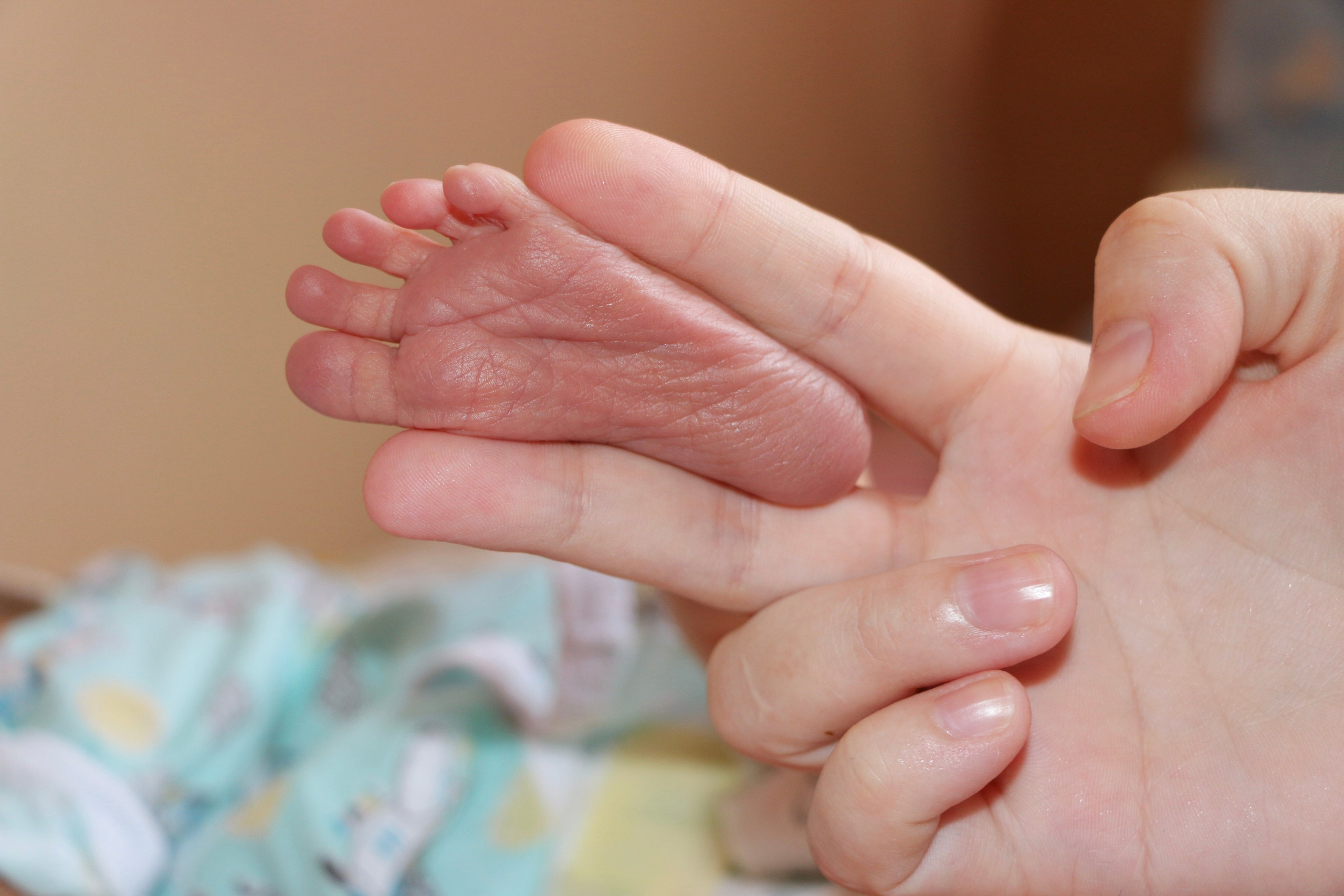 Выписка из роддома. Семейный и детский фотограф в Ялте Ольга Солерина