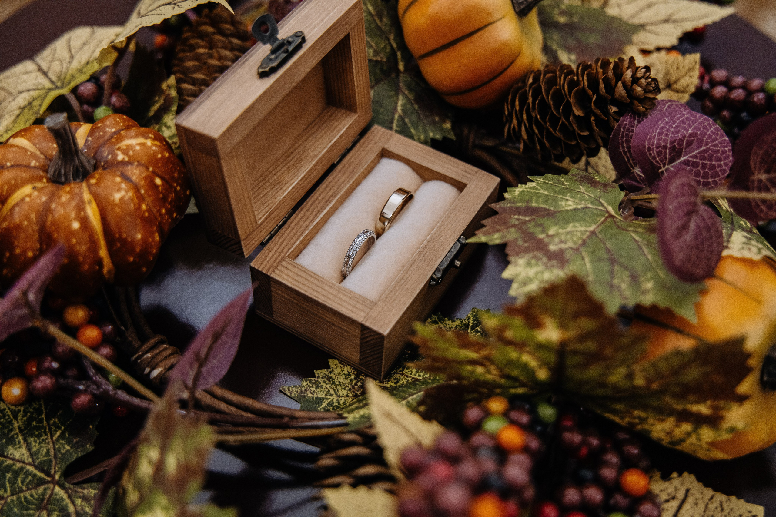 A+A. Организация и съёмка мероприятий любого формата. Иван Быков