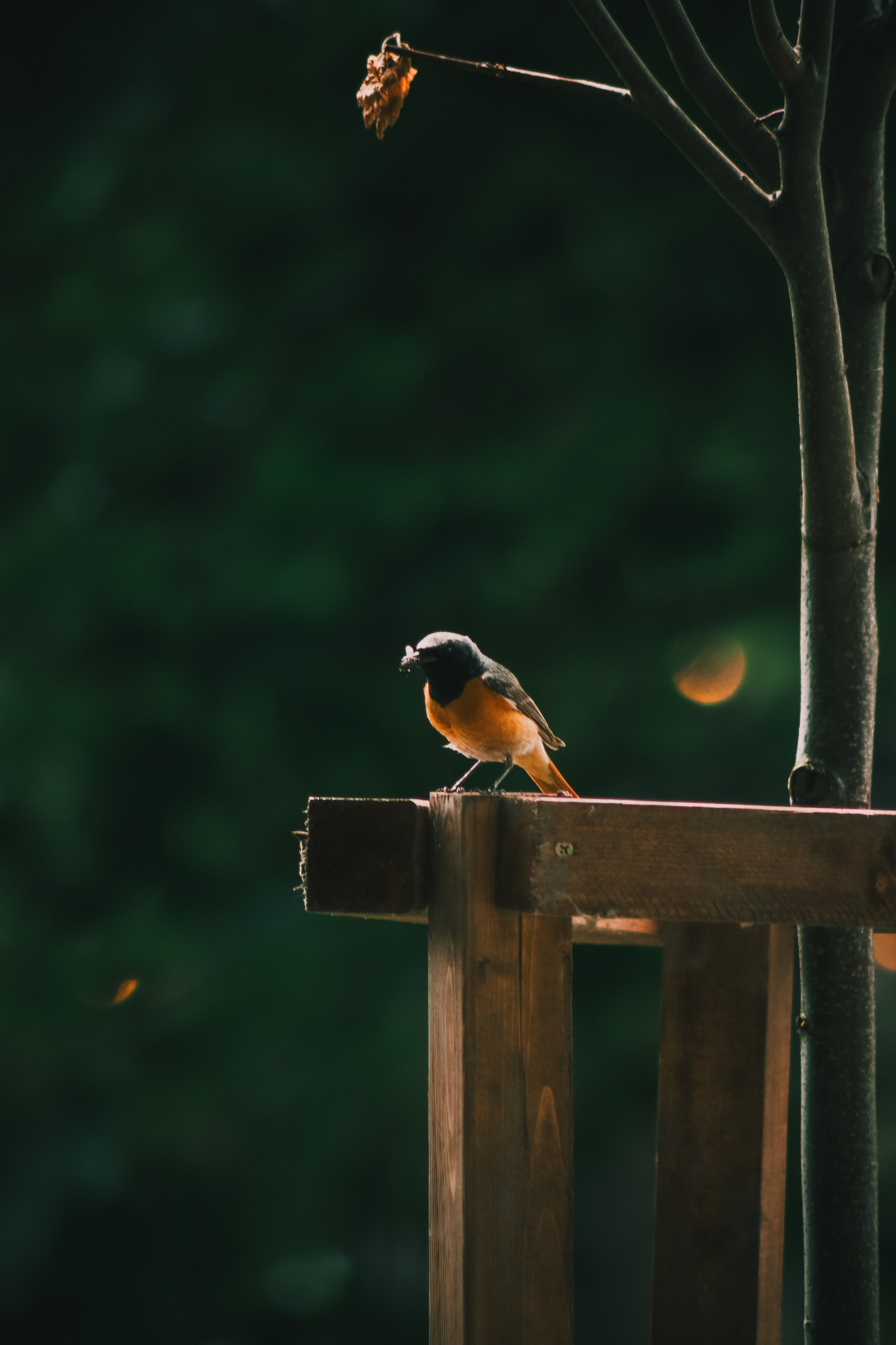 Р А З Н А Я — Ж И В Н О С Т Ь. — Digital Noise —