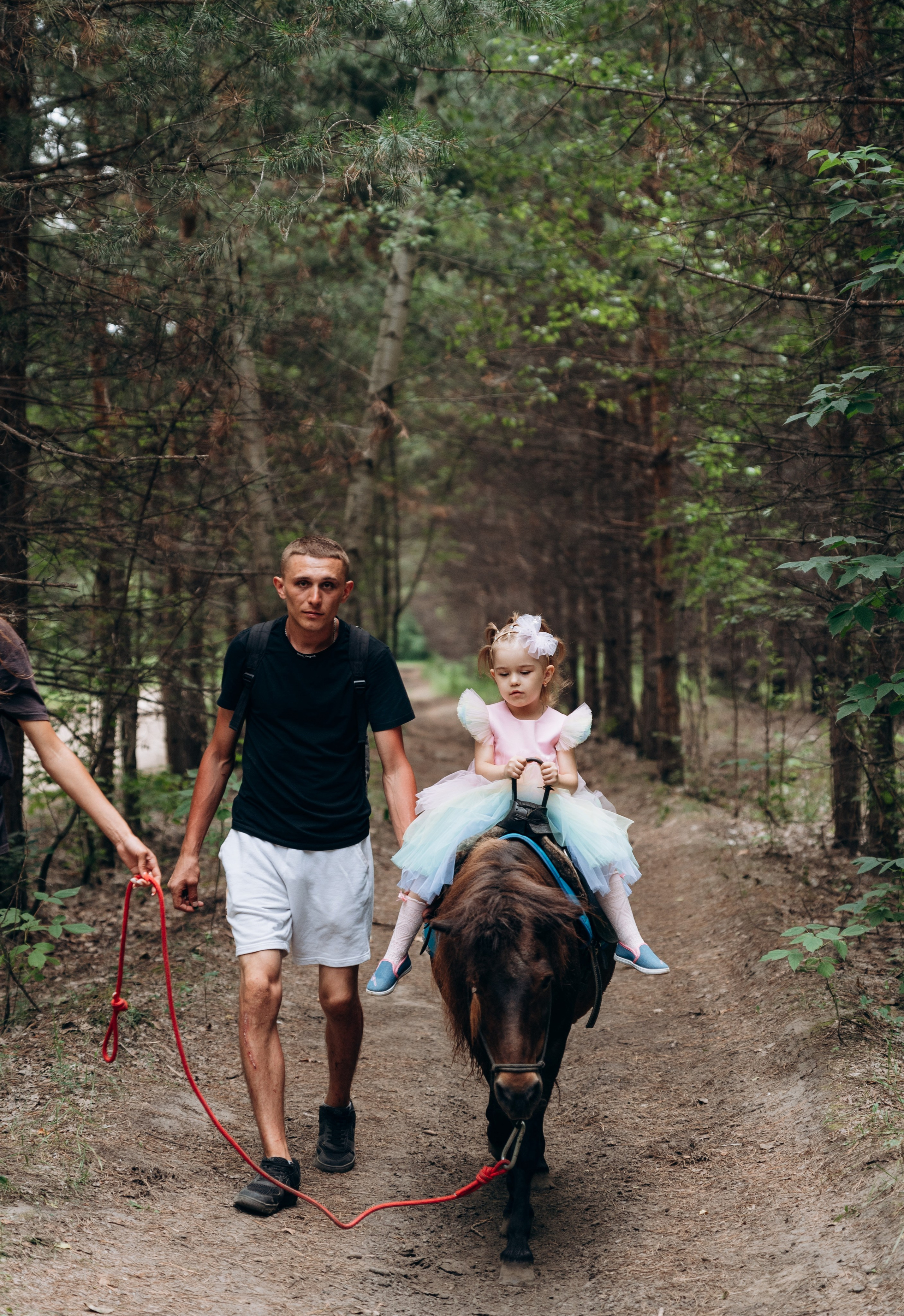 Конная прогулка. Фотограф в Новосибирске