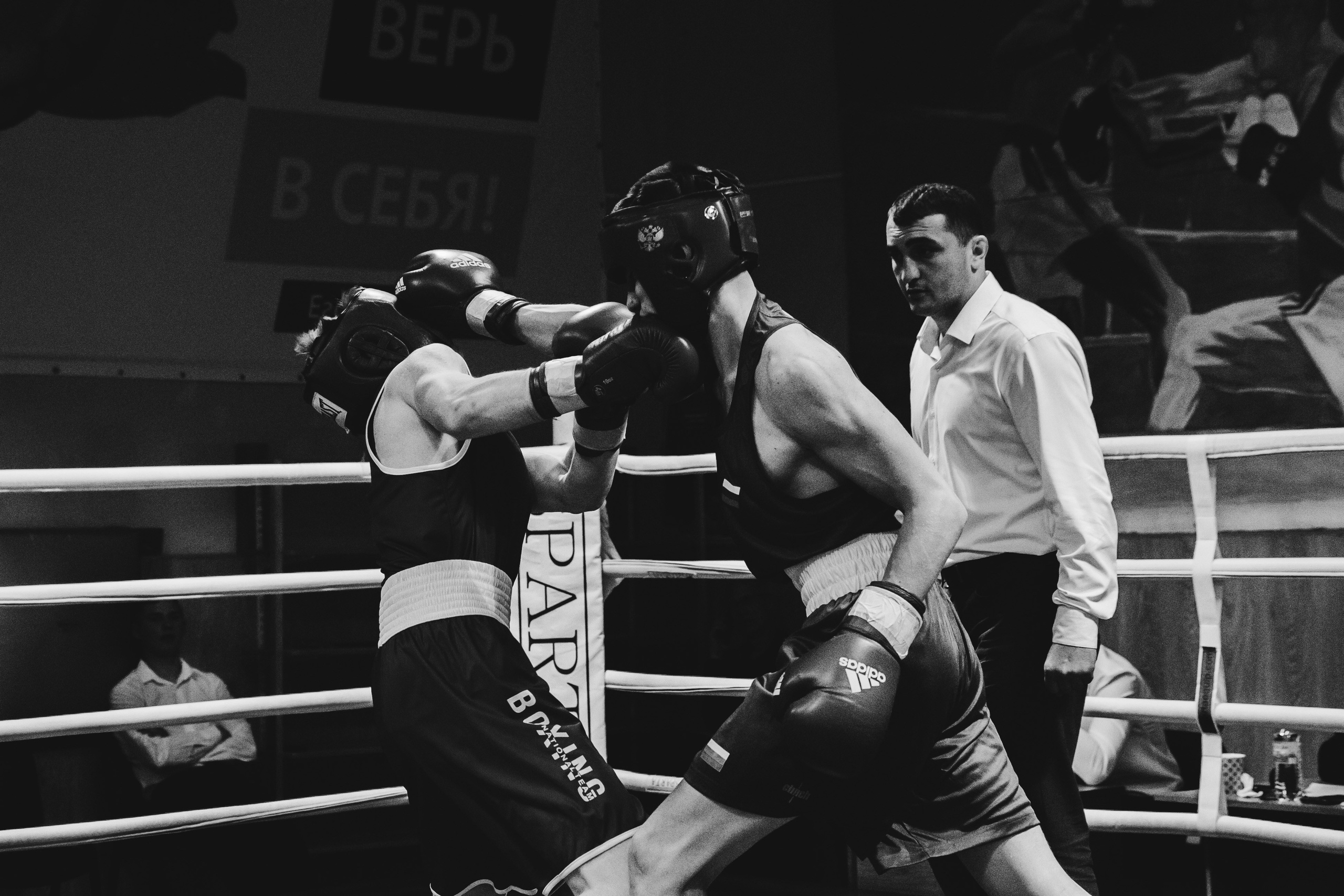 Бокс — РЗН — 26.04.2025. Фотограф в Рязани — Кузнецов Михаил