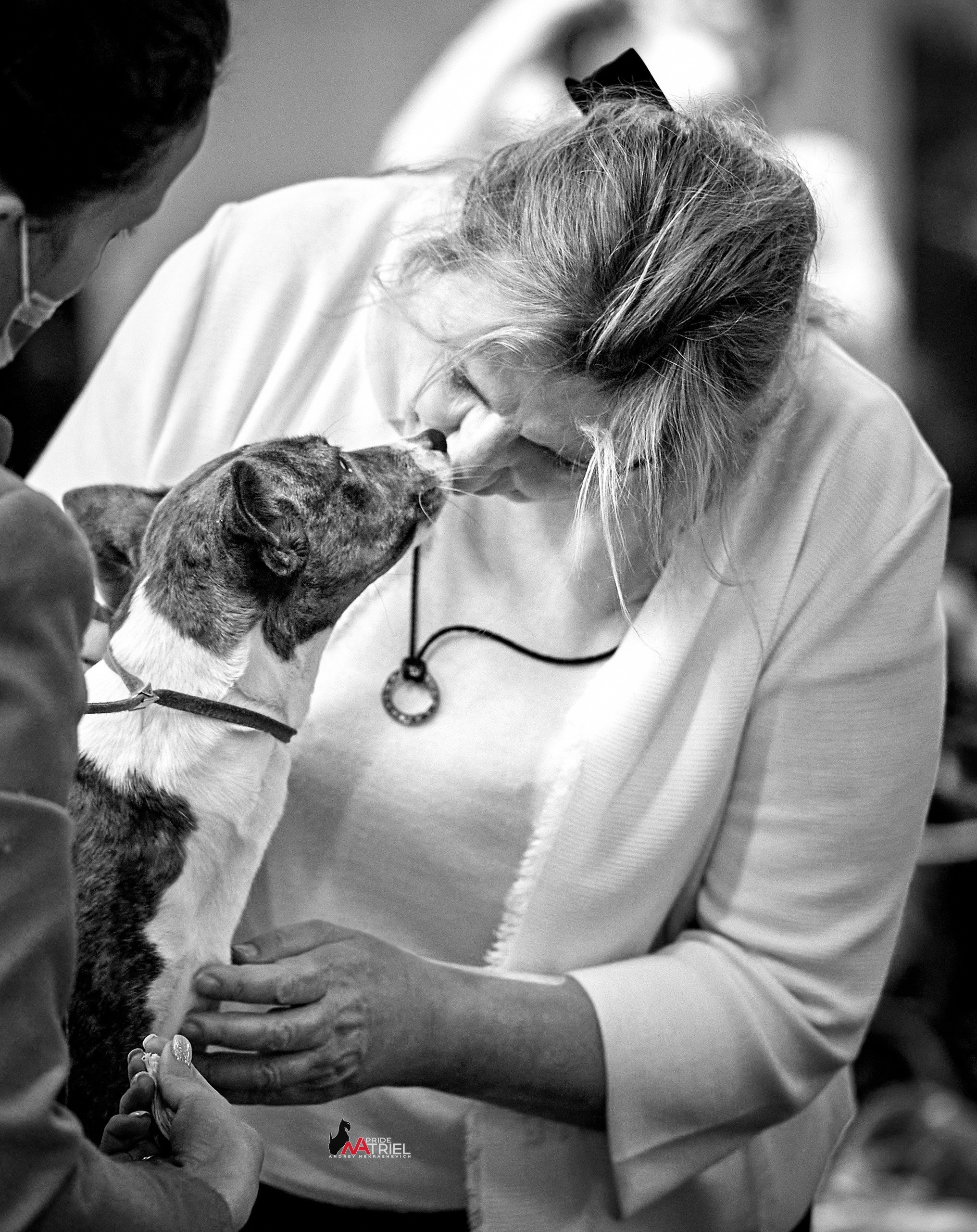 Собаки и Люди — галерея NATRIEL