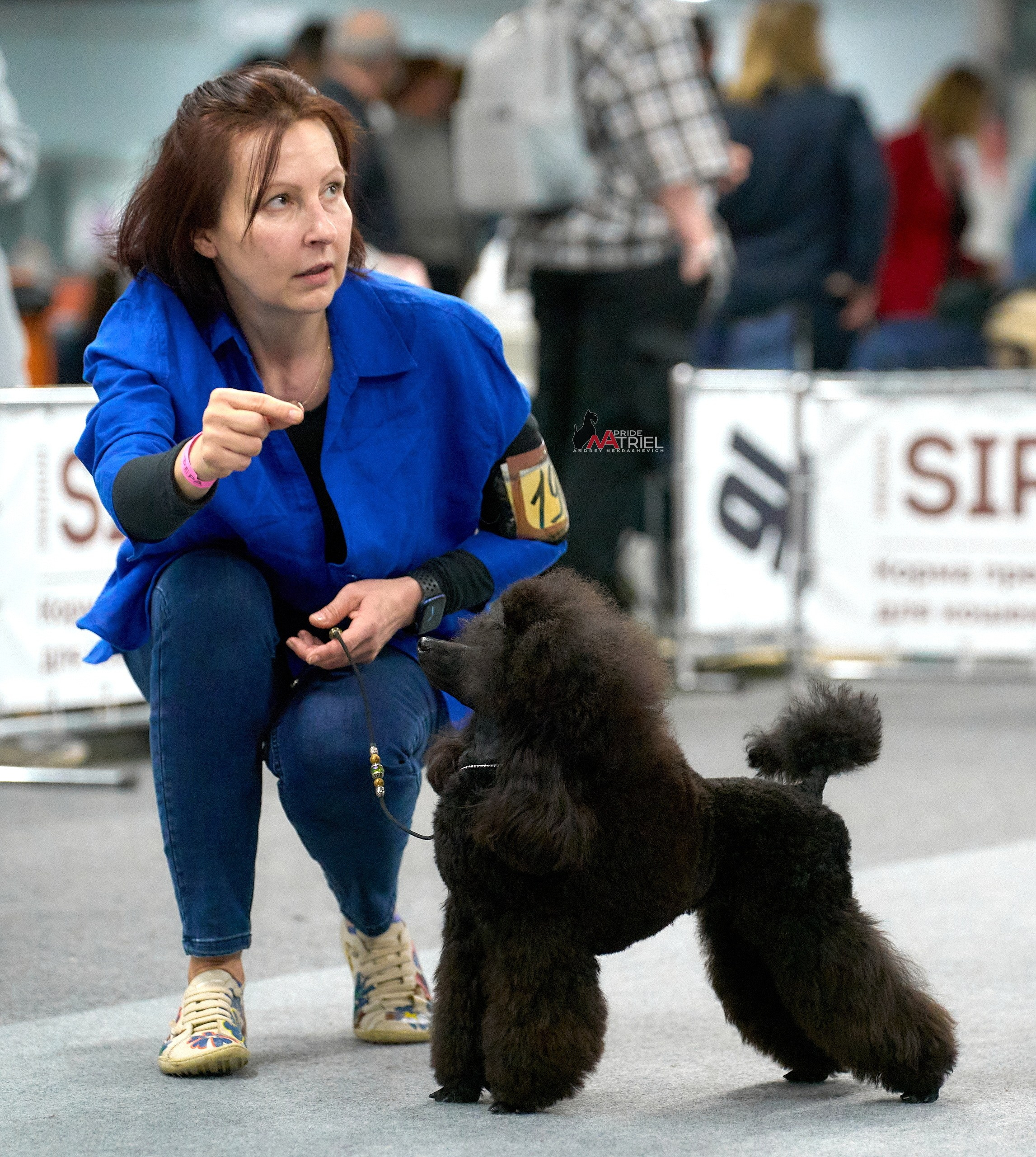 Работа в рингах — галерея NATRIEL