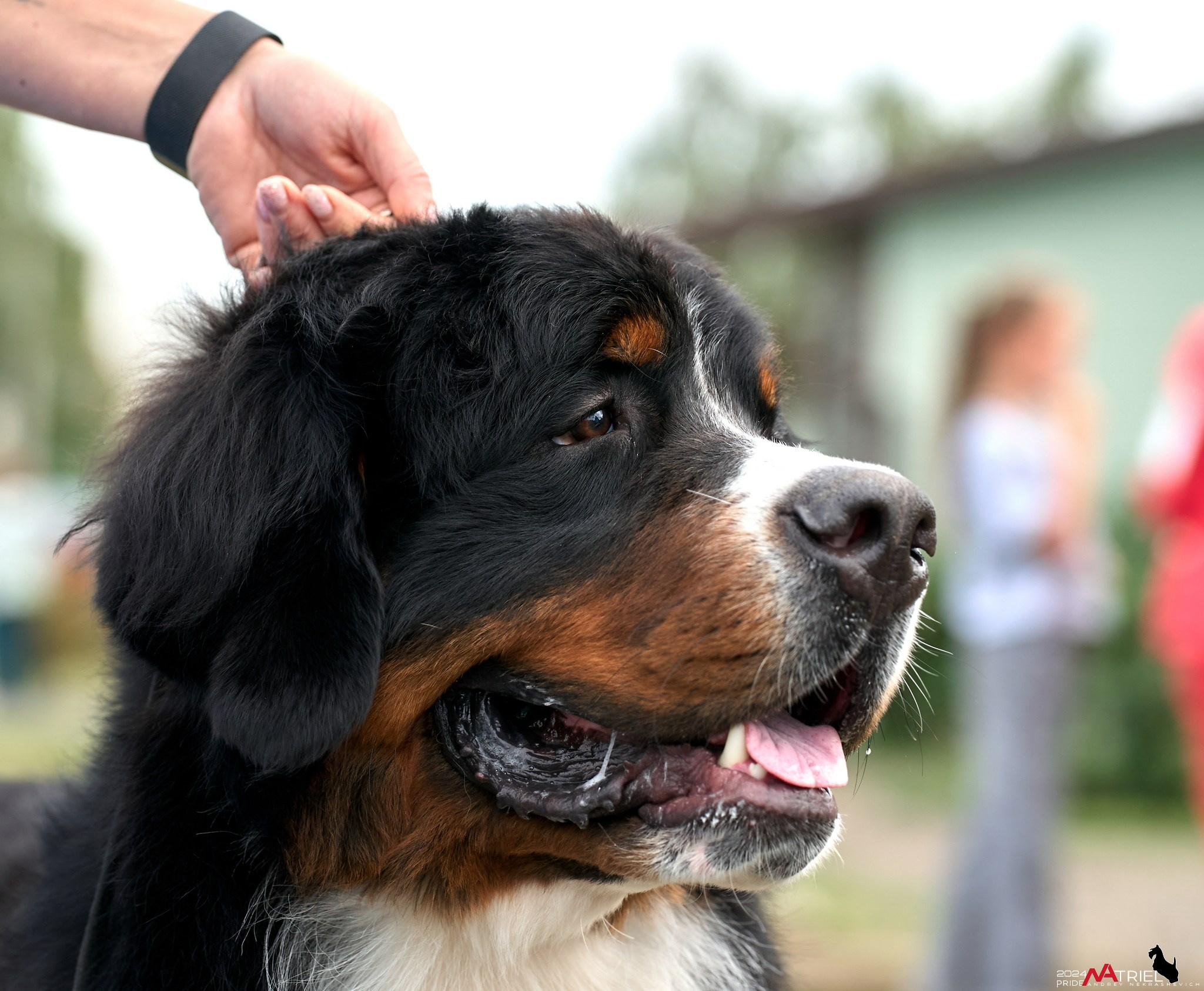 Съемка на выставке в Пёсик-Хаус