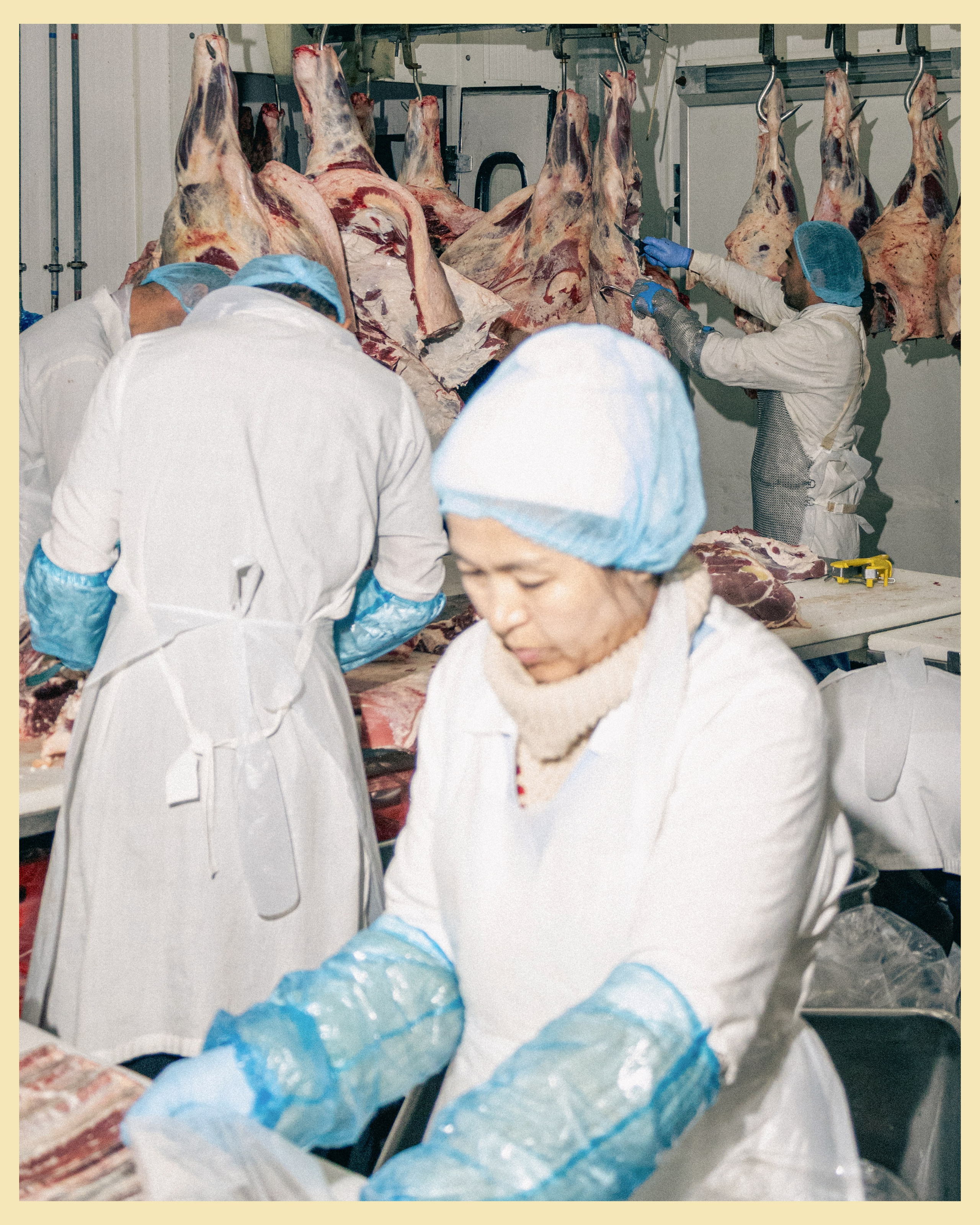 HBP x VANO. Ivan Petrov photographer