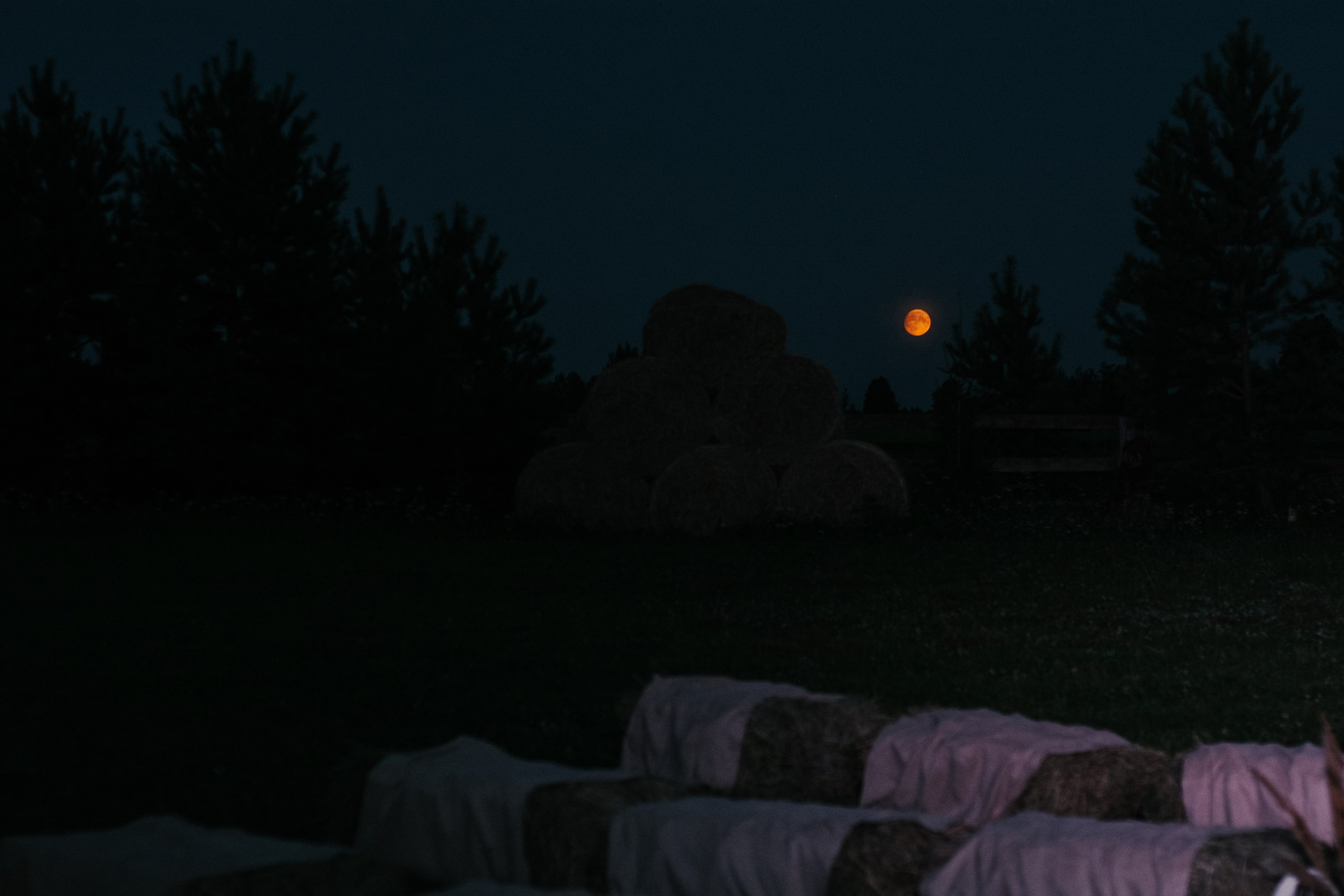 R&A. Свадебный фотограф Ижевск/Сарапул Анастасия Бель