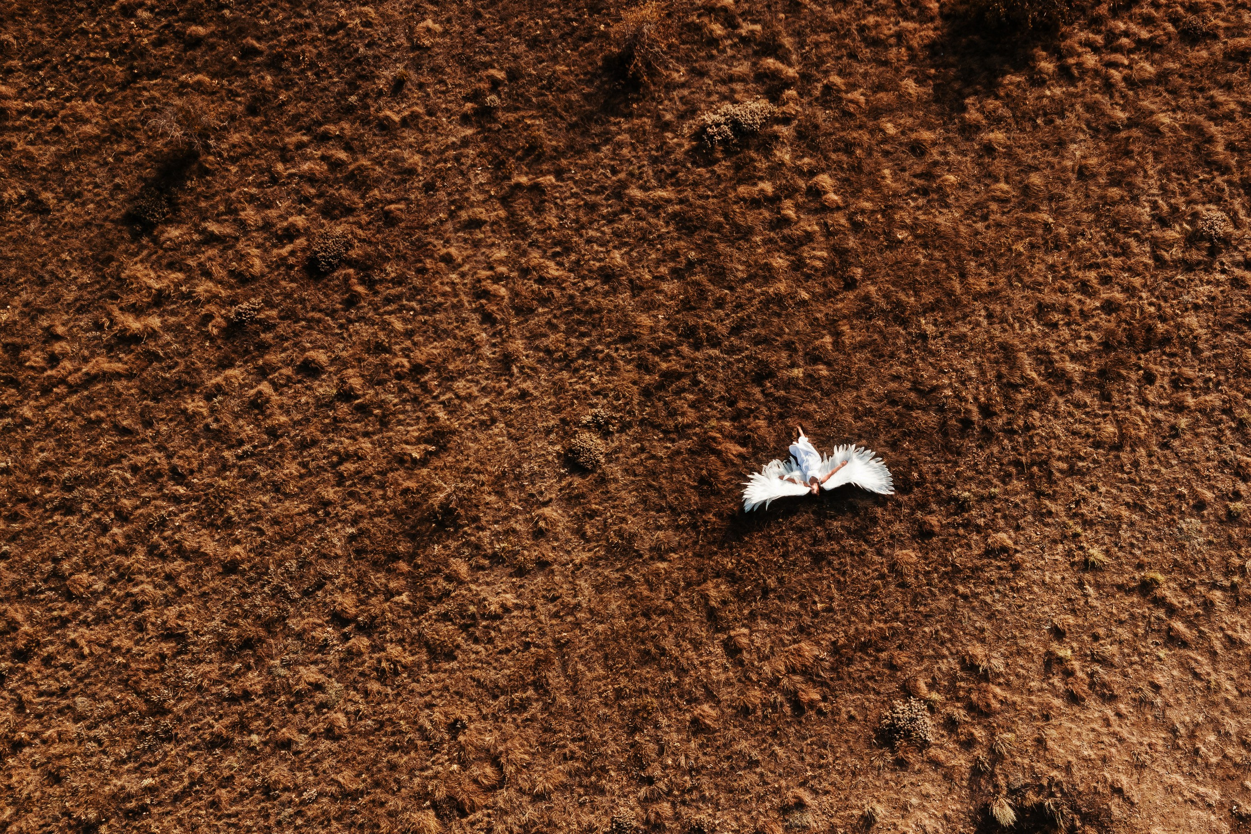 Рассветный ангел. Портретный фотограф В Крыму и преподаватель Екатерина Покровская