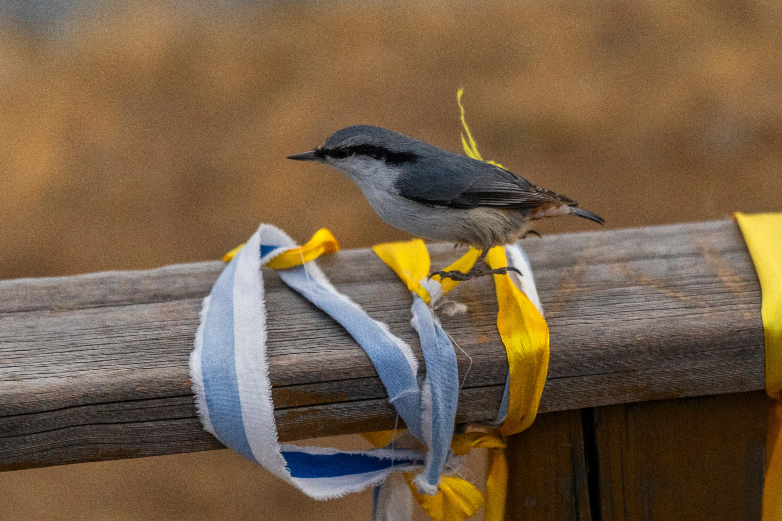 Ольхон в октябре. Марина Захарова — Фотограф. Москва / Marina Zakharova — Photographer