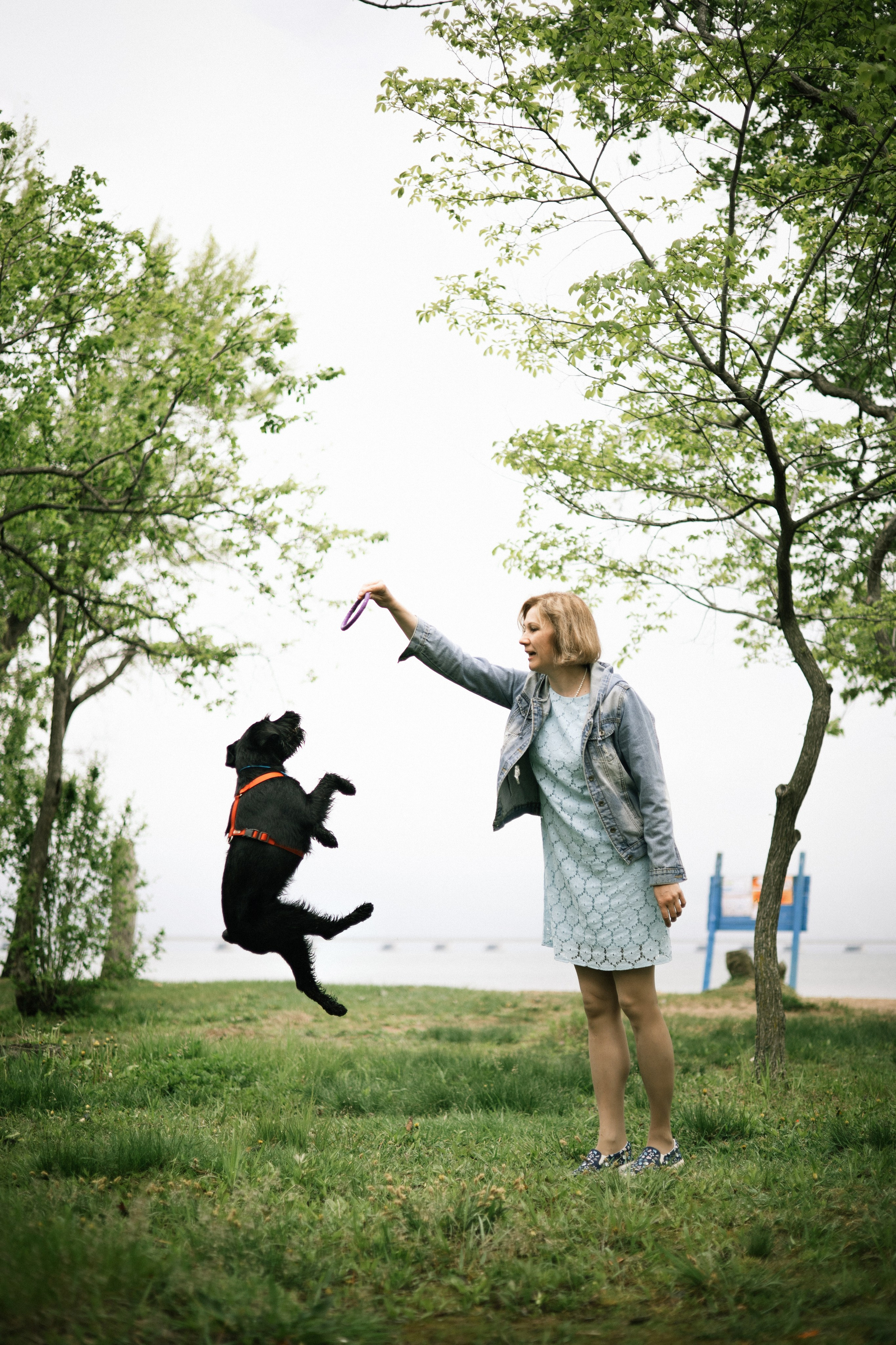 Екатерина и Вольт. Фотограф — анималист Владивосток, Алина