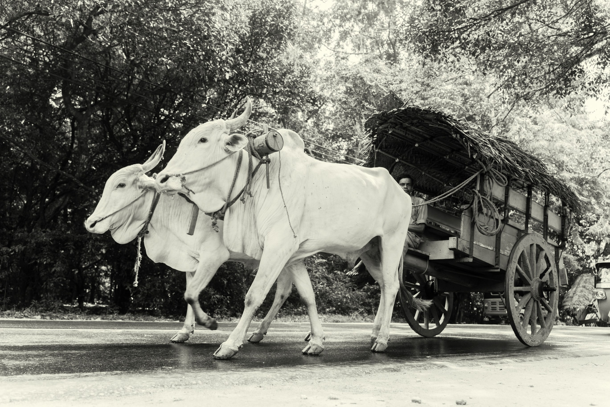 Ktokuda. Фотограф в Хабаровске. Фотография за 24 часа