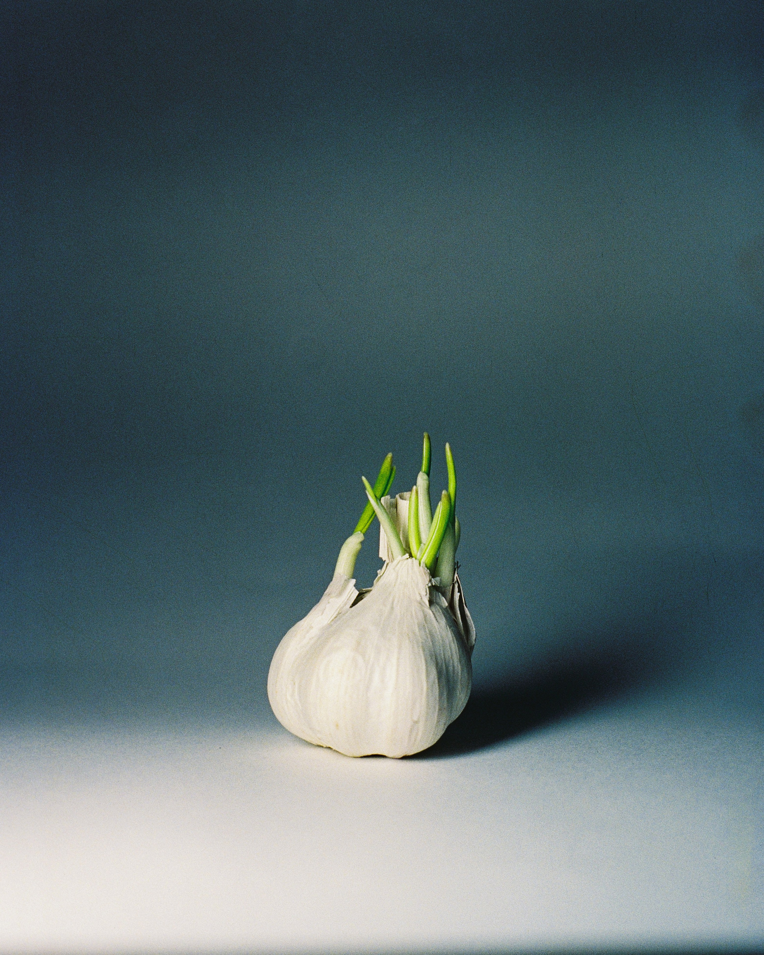 FOOD. ANNA — PHOTOGRAPHER