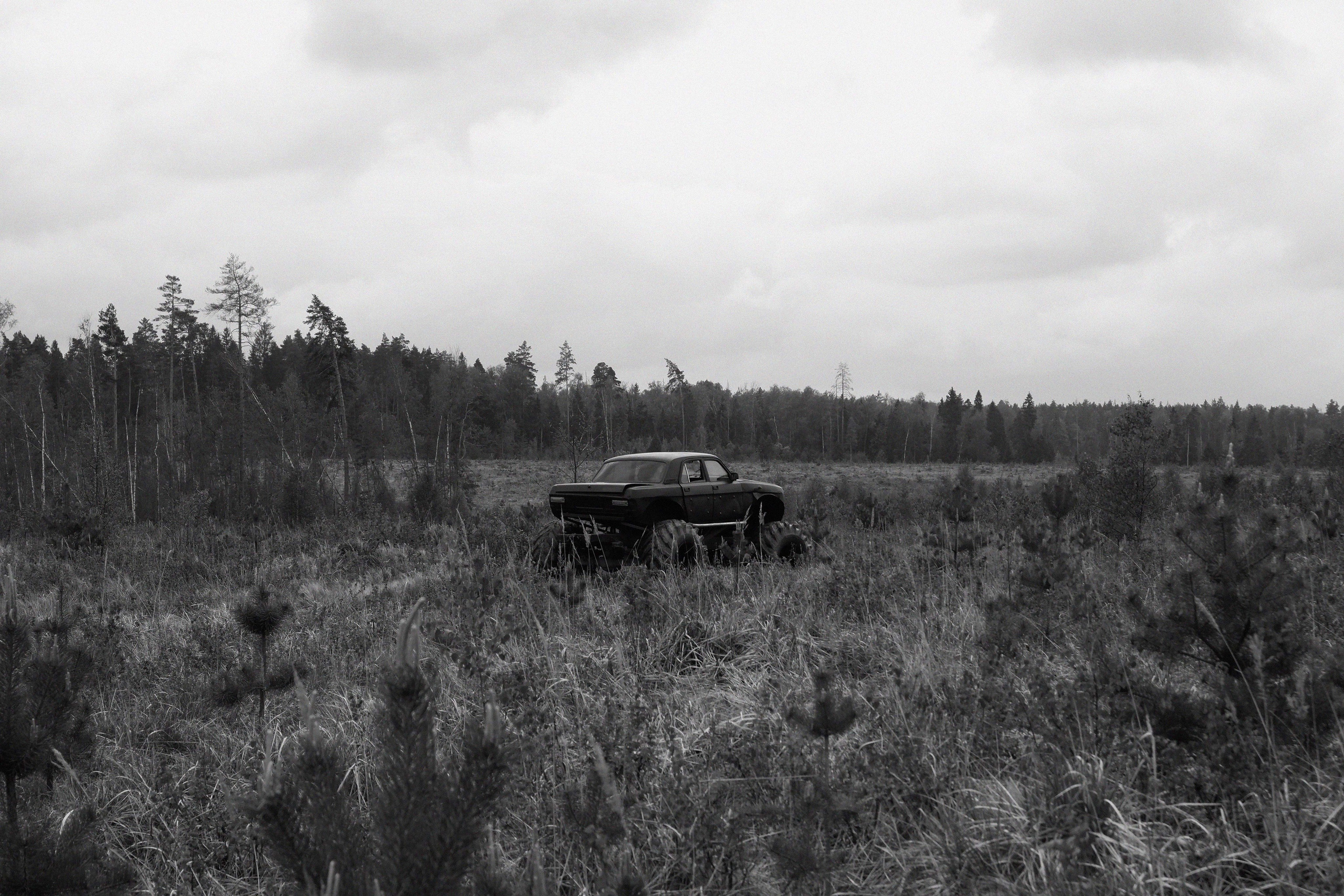 Sbermarket\monstertrack. ANNA — PHOTOGRAPHER