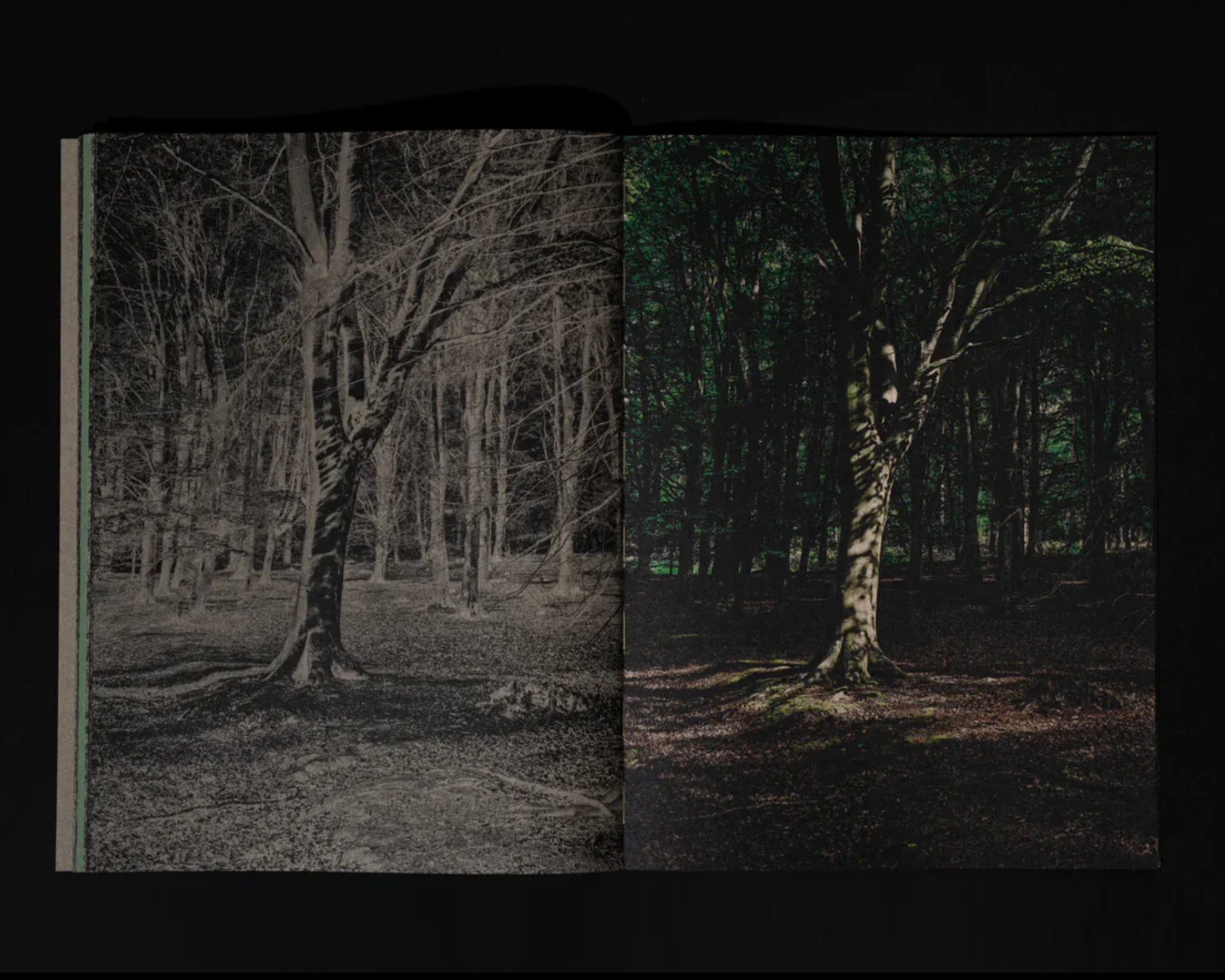 Понедельник 1. Вначале ничего не было…. …