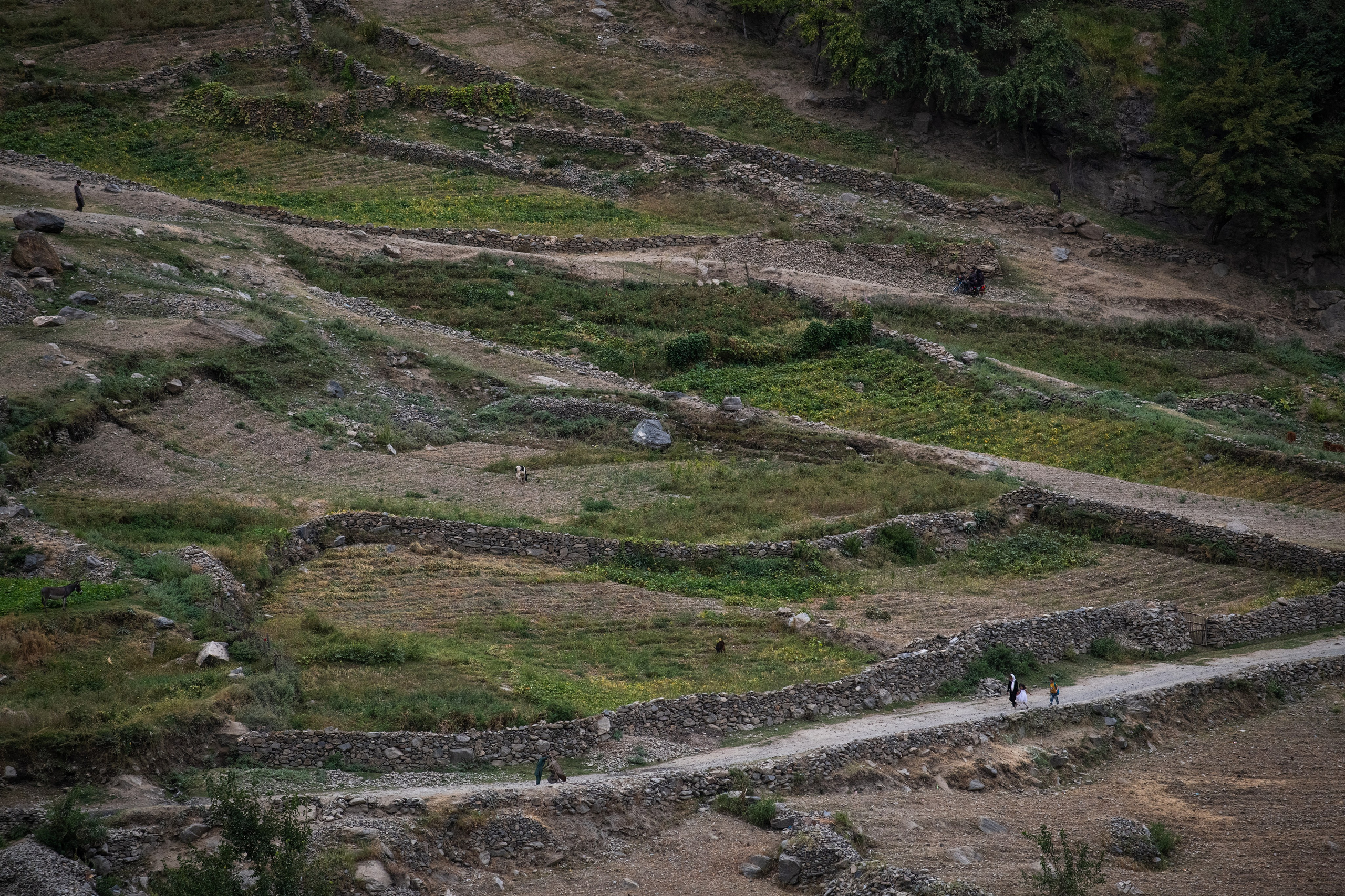 Таджикистан. Памир. Репортажный, спортивный и документальный фотограф в Ташкенте Алексей Елисеев