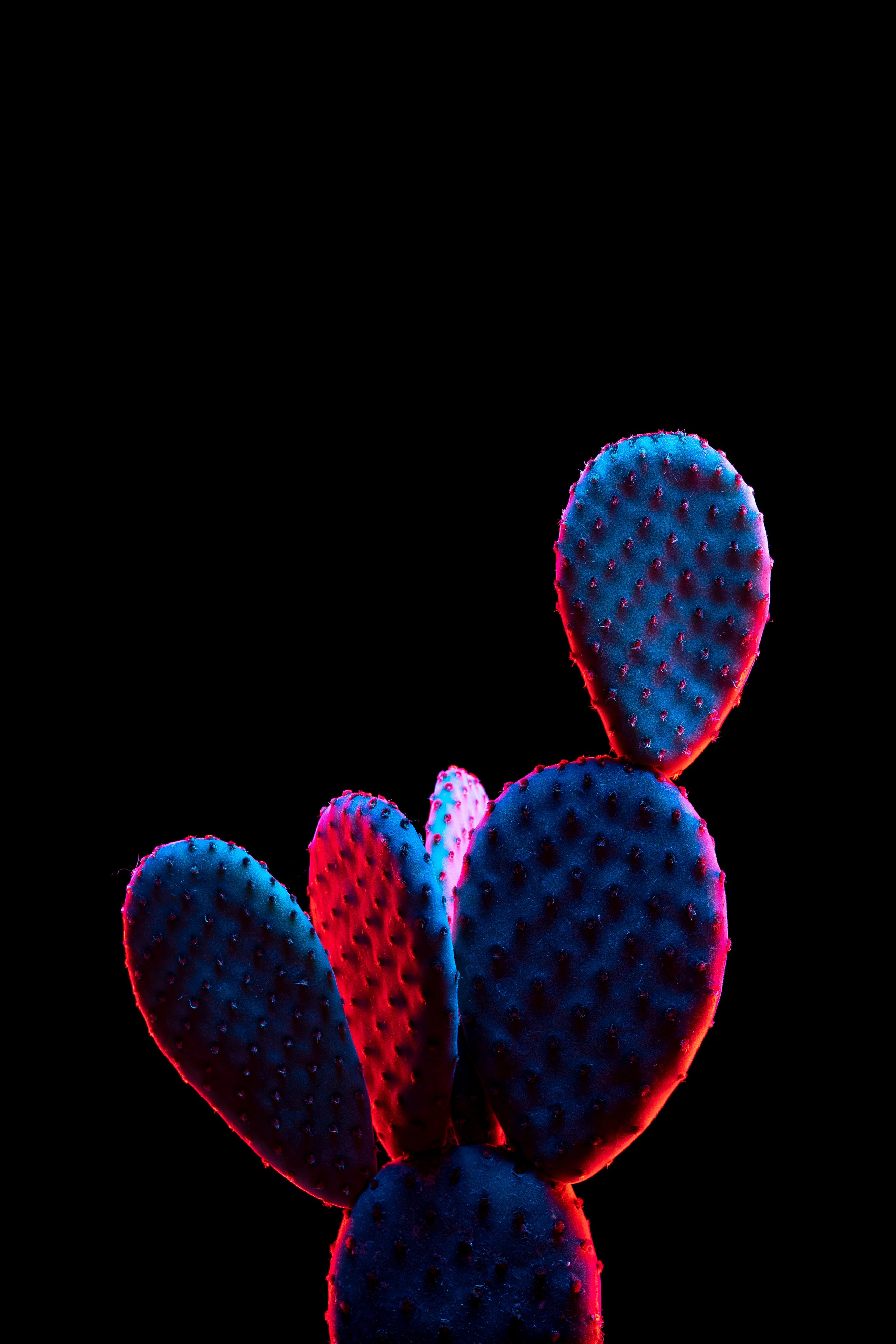 ПРЕДМЕТНАЯ. Никита Аничкин фото и видео оператор из России