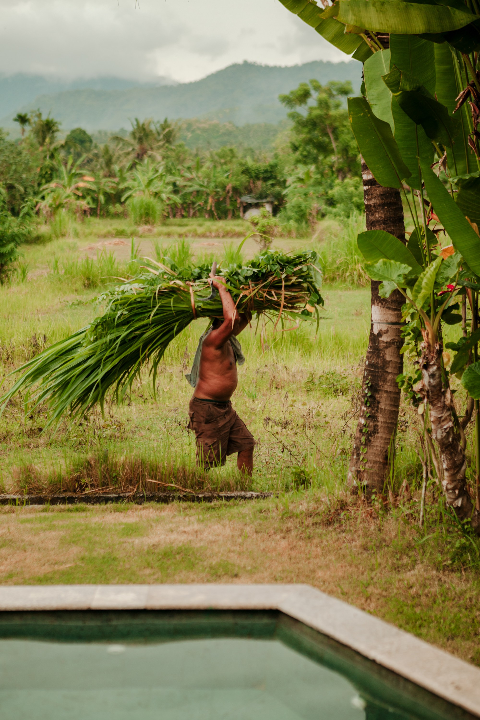 Вилла Sunrise Bali. Виолетта Скрипка