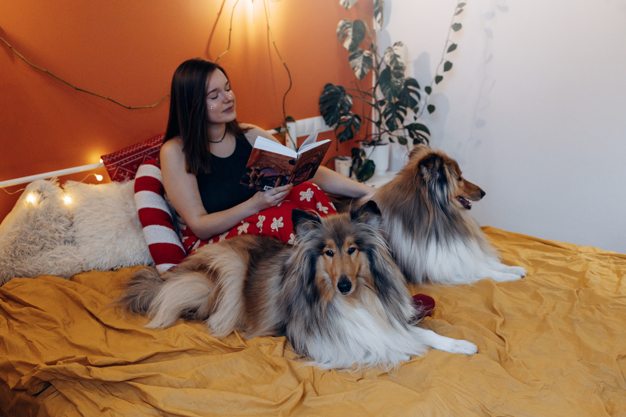 YULA KOLESOVA | Фотограф — Анималист | Художник | Тюмень