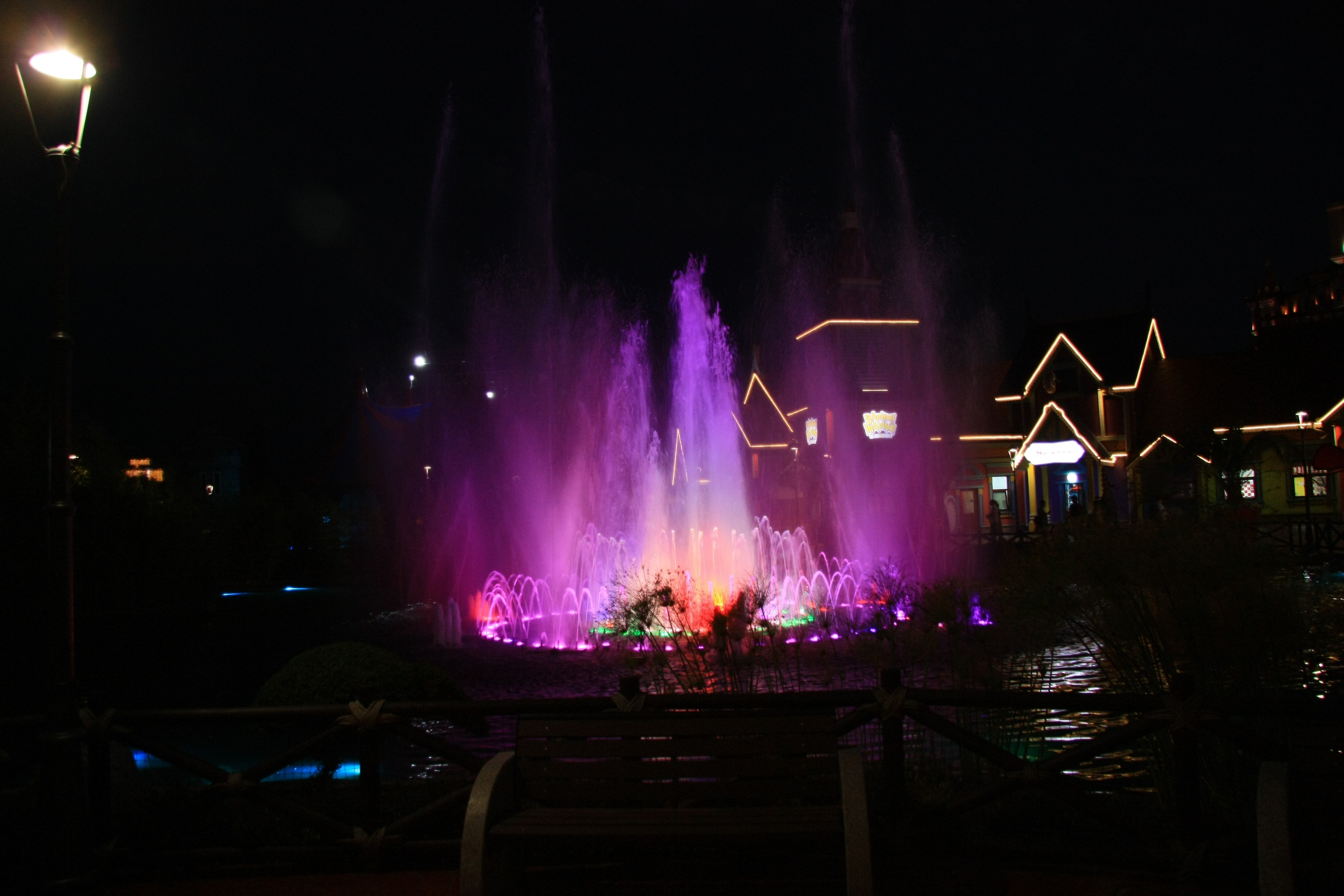 Первые кадры. Сочи — парк. Фотограф Роман Адлер