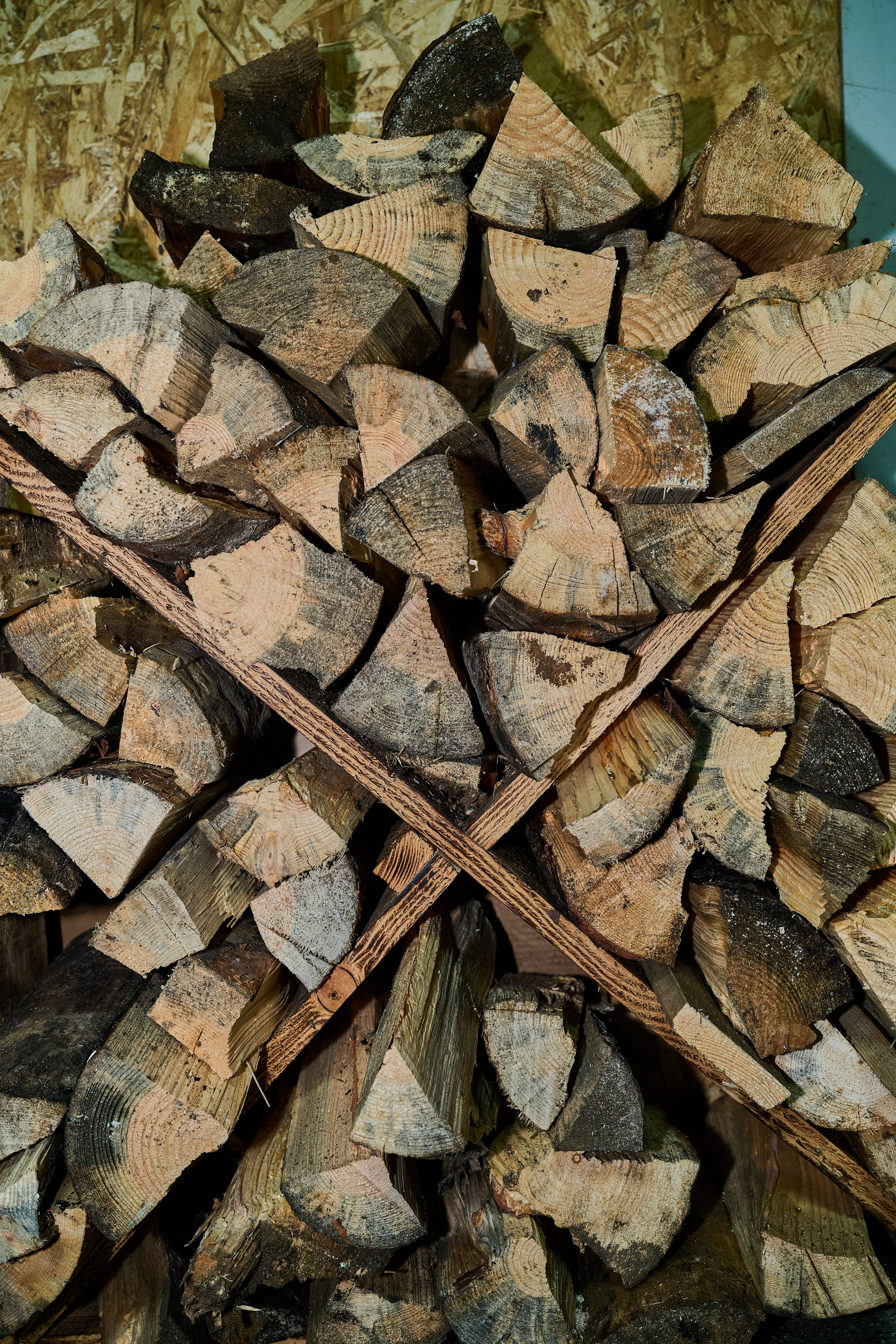 Съемки для фотопроекта Территории. Фотограф Роман Адлер