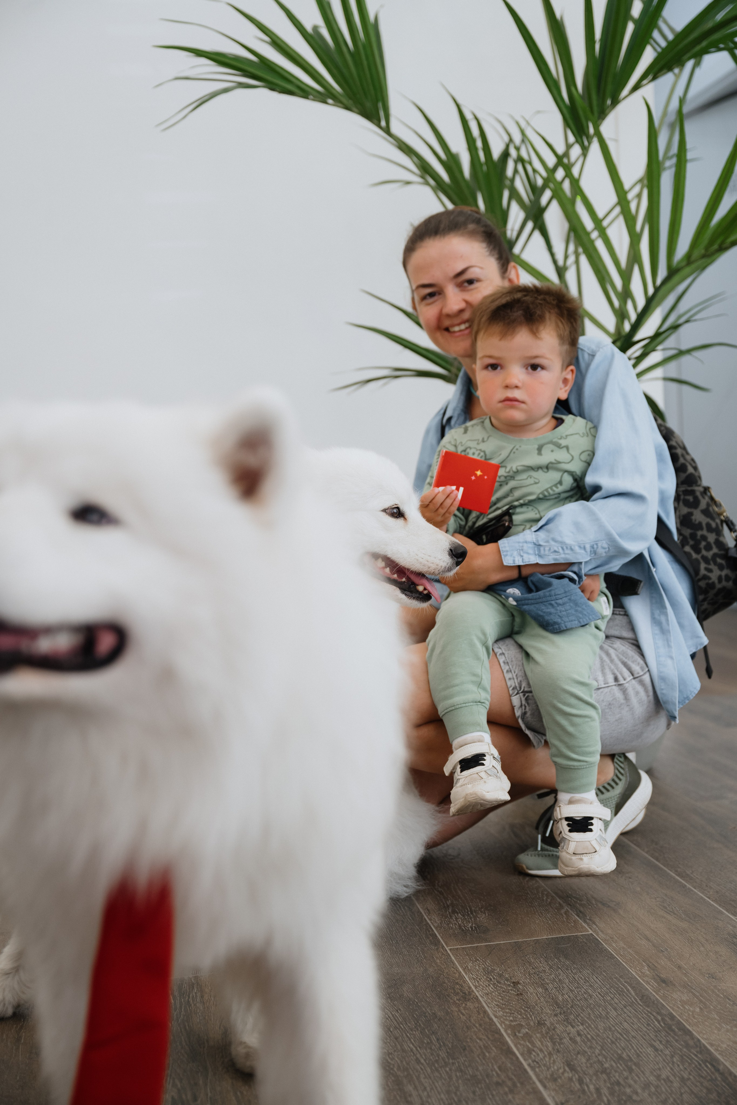 Альфа банк Карла Маркса 55. Фотограф Кристина Тумаева. Самоед Новосибирск