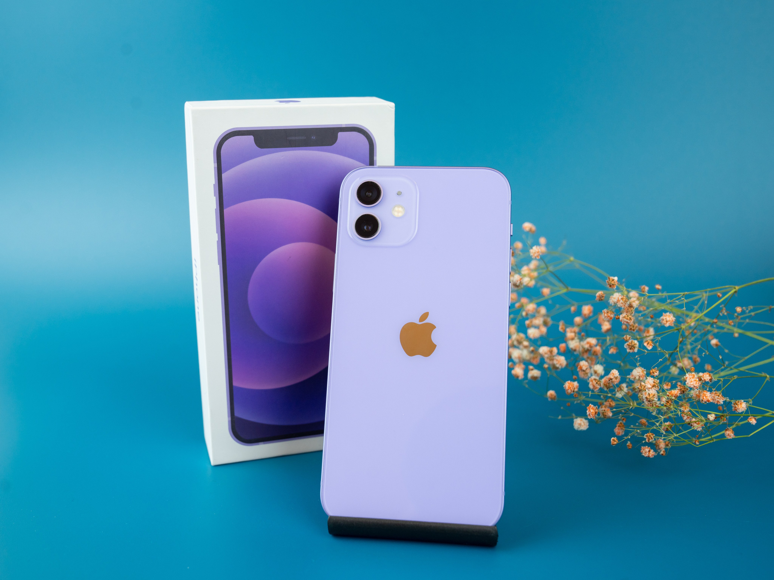 IPhone. Фотограф в Санкт-Петербурге Мария Александрова