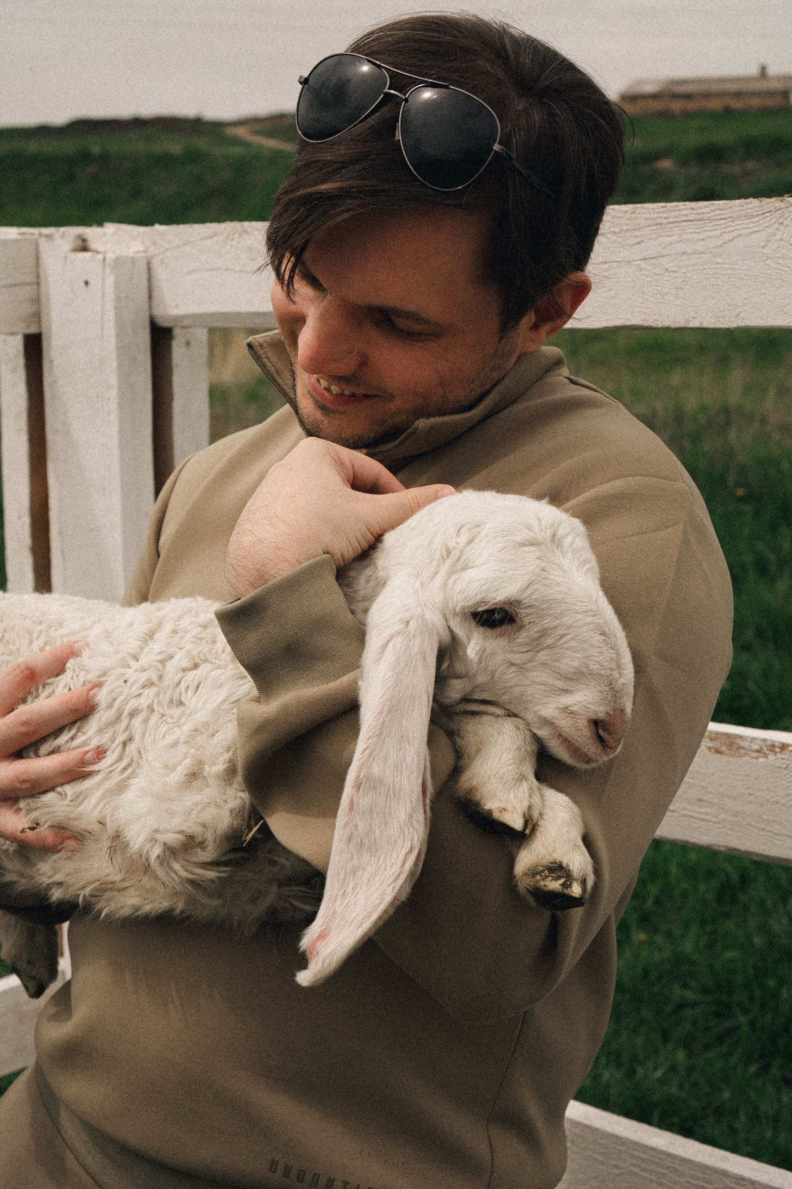 Ферма Альпак. Профессиональный фотограф, Санкт-Петербург — Виктория Богомолова