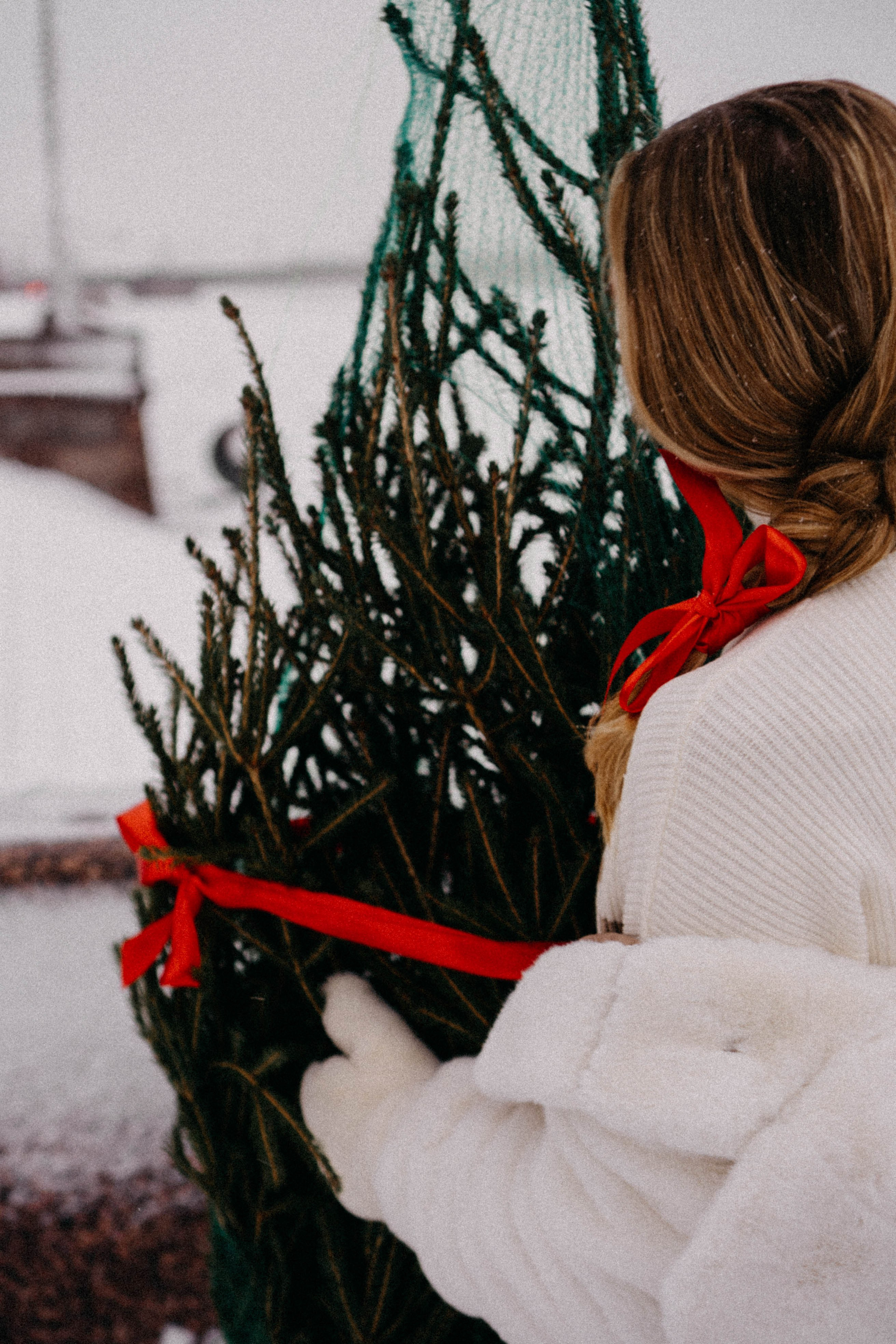 Новогодняя. Профессиональный фотограф, Санкт-Петербург — Виктория Богомолова
