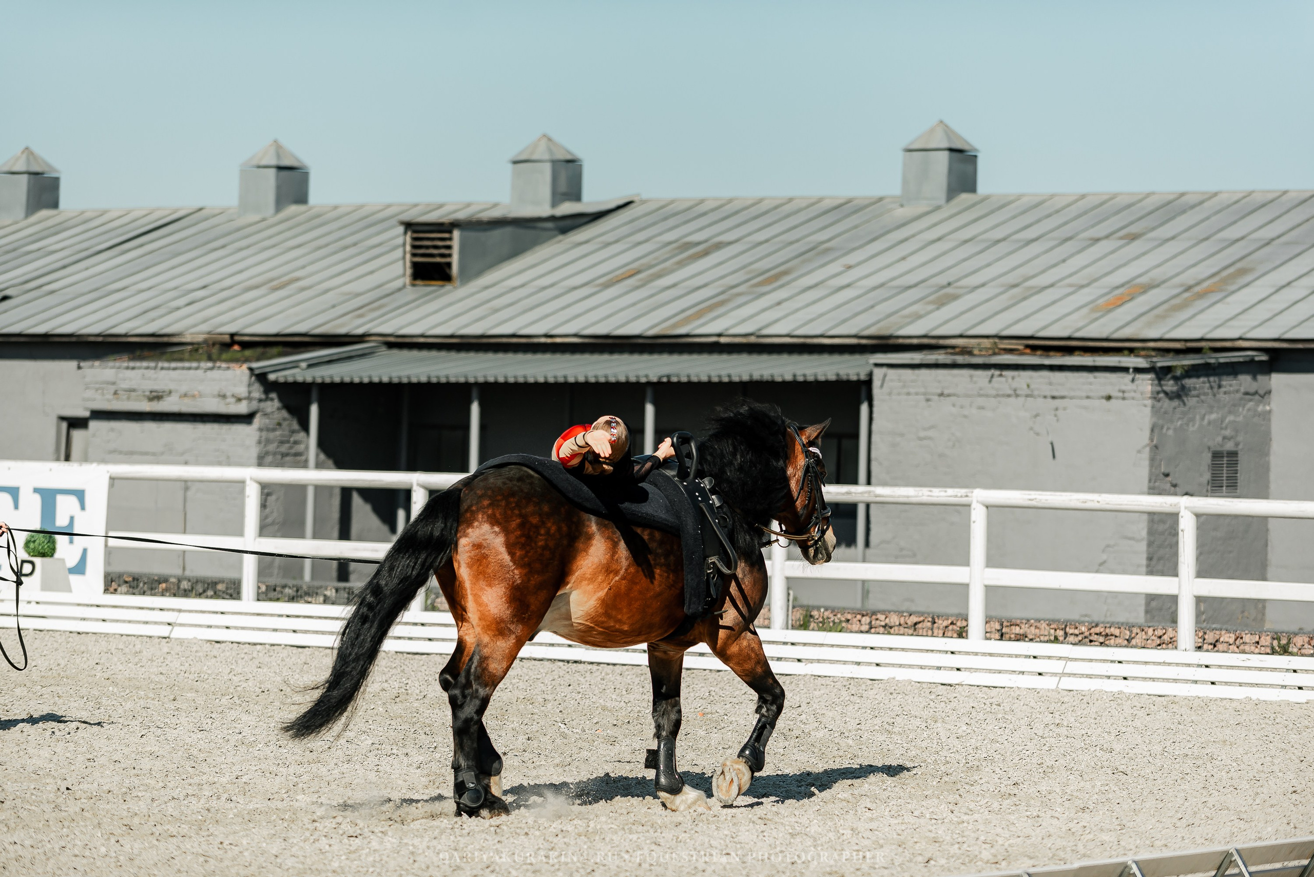 РЕПОРТАЖ МКК ВОЛЬТ «LA TULIPS». Конный фотограф Куракина Дарья • Фотосессии с лошадьми
