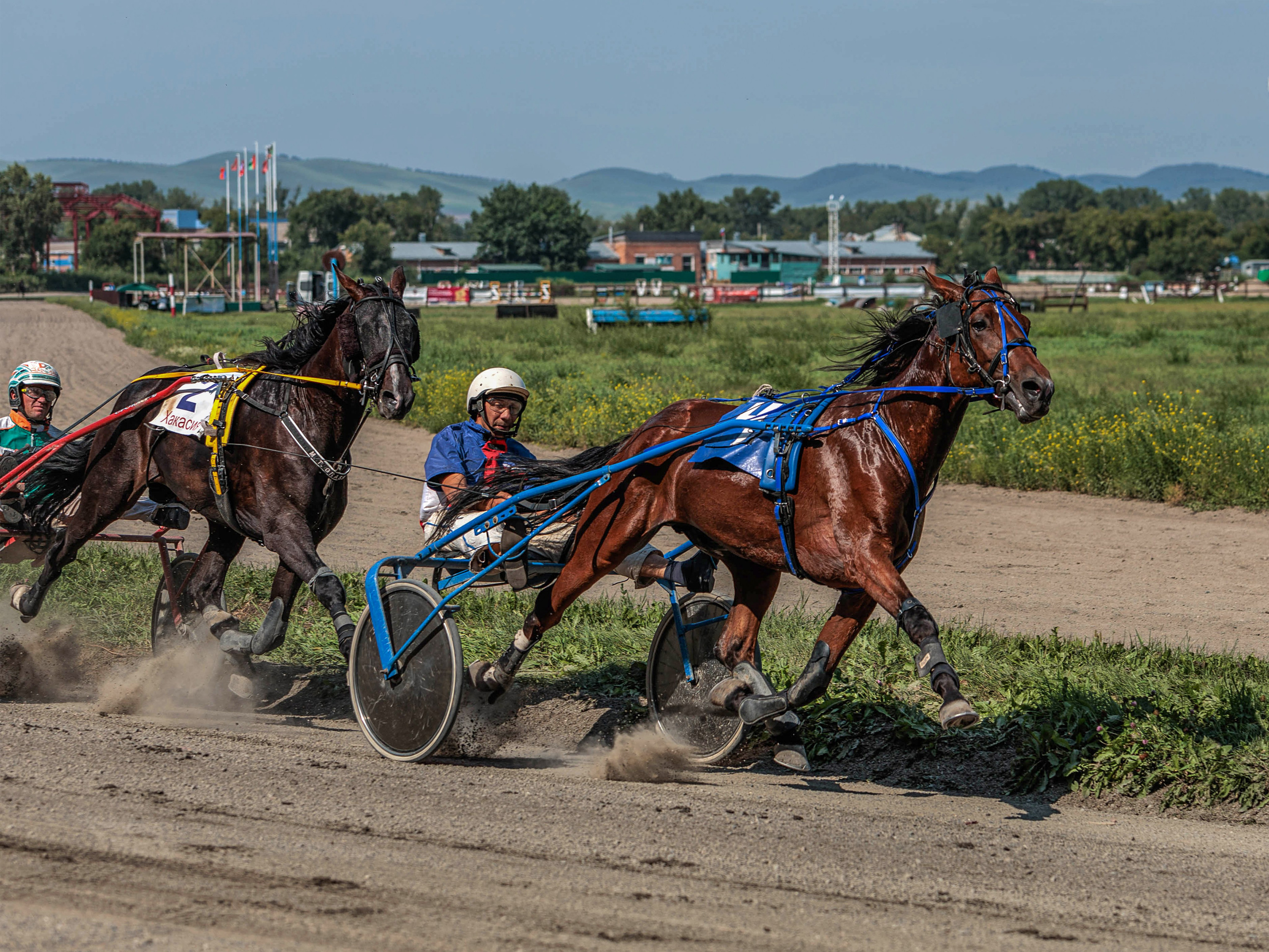 Зарисовки Абаканский ипподром 2025. Конный фотограф в Красноярске — Любовь Похабова