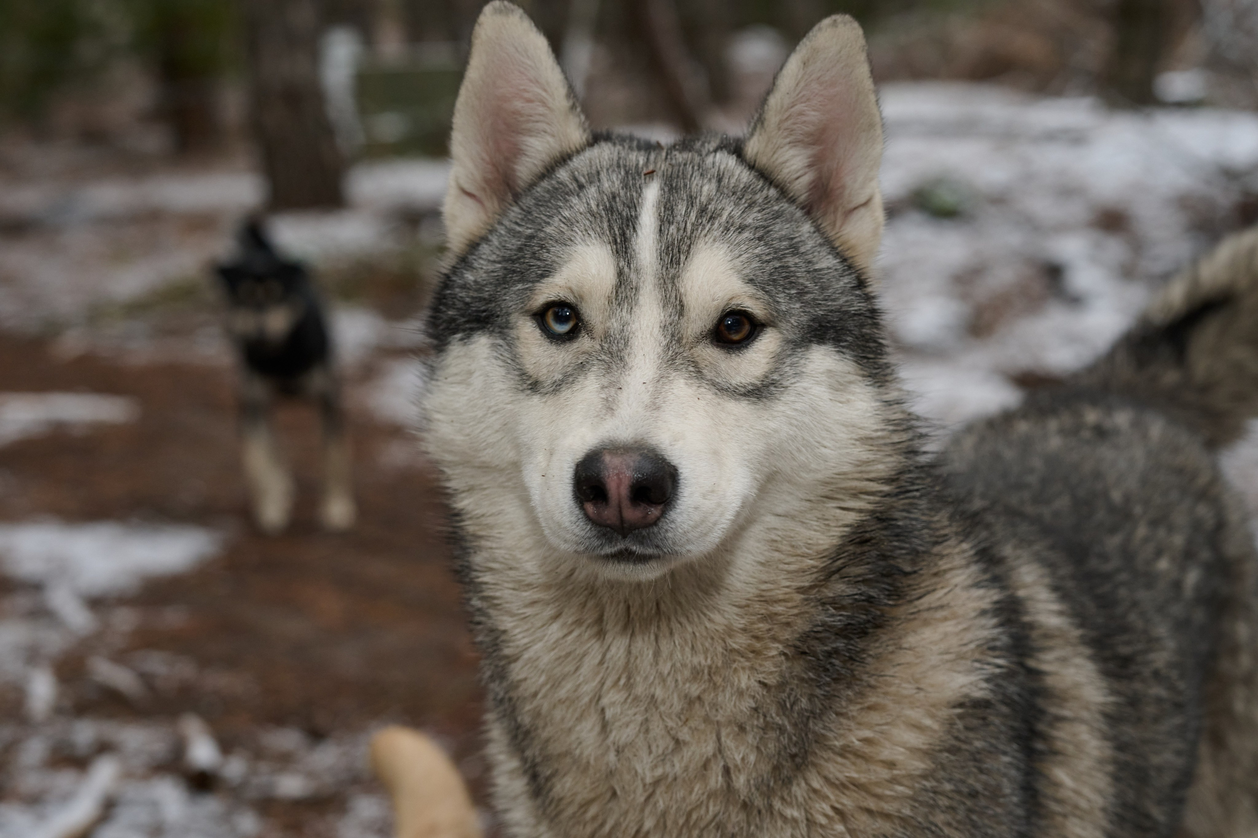 Фото для презентации фотопроекта «Территории». Фотопроект «Территории»