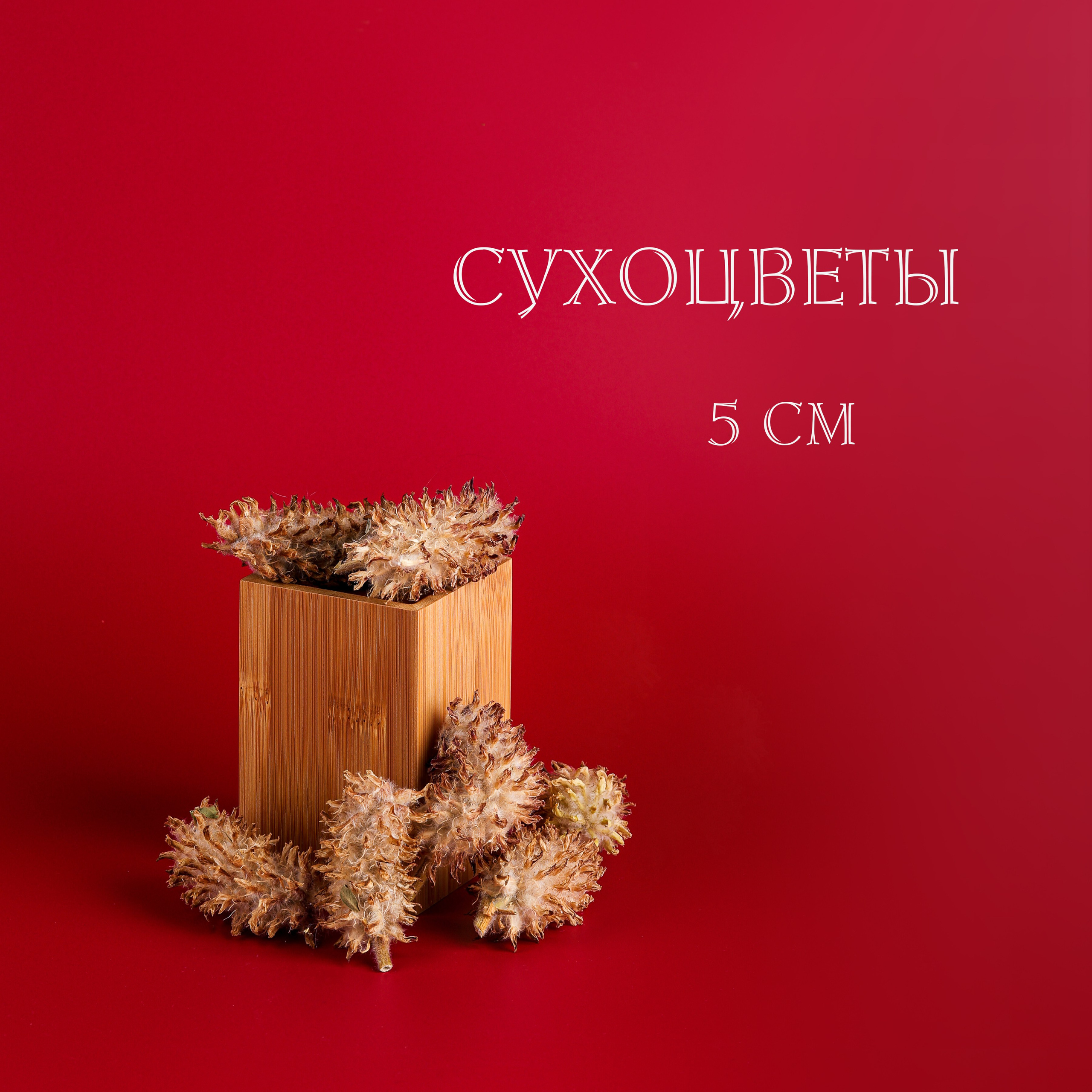 Вазочки и сухоцветы