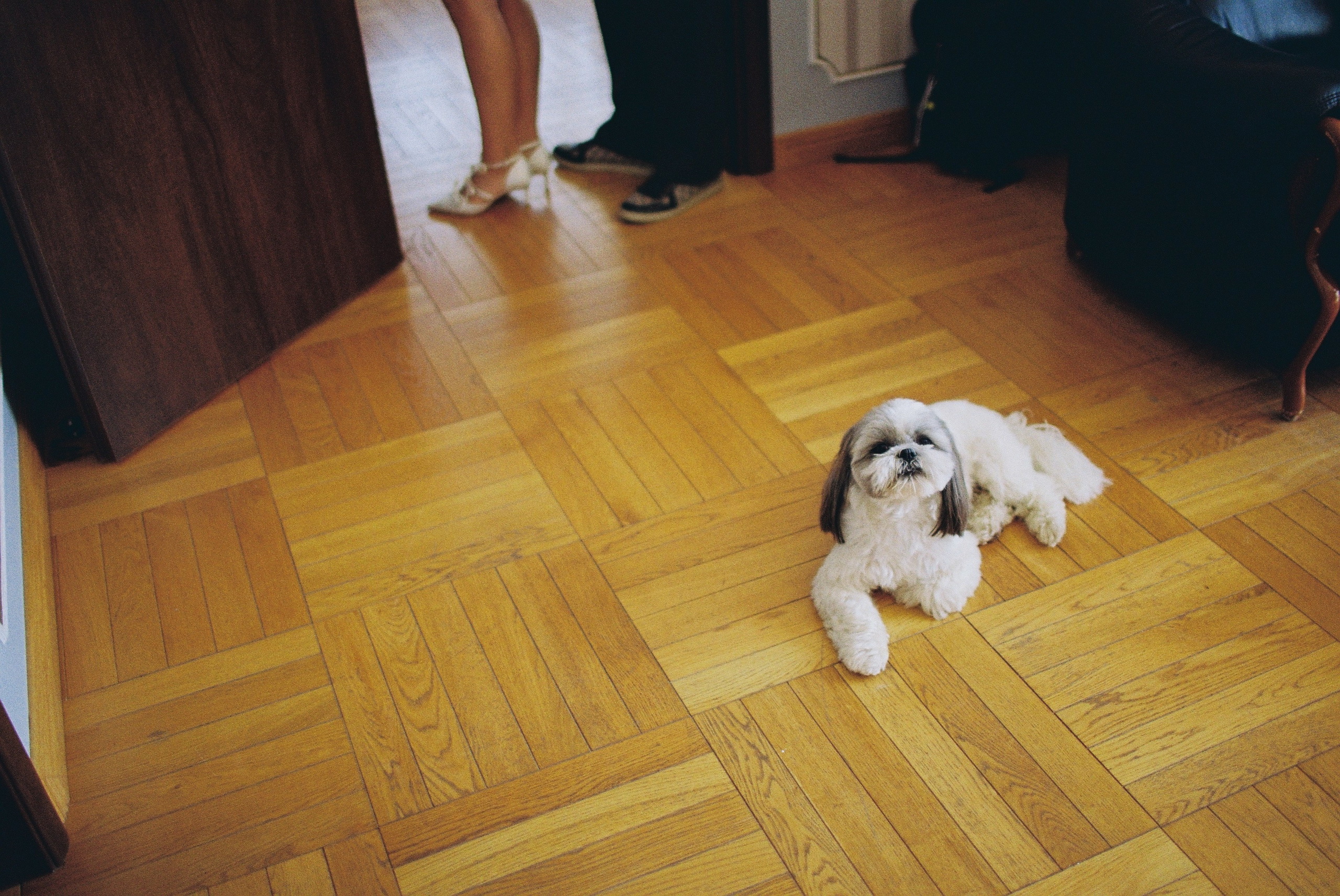 Yulia | Igor. Фотограф Ирина Гринько Тольятти Самара Москва