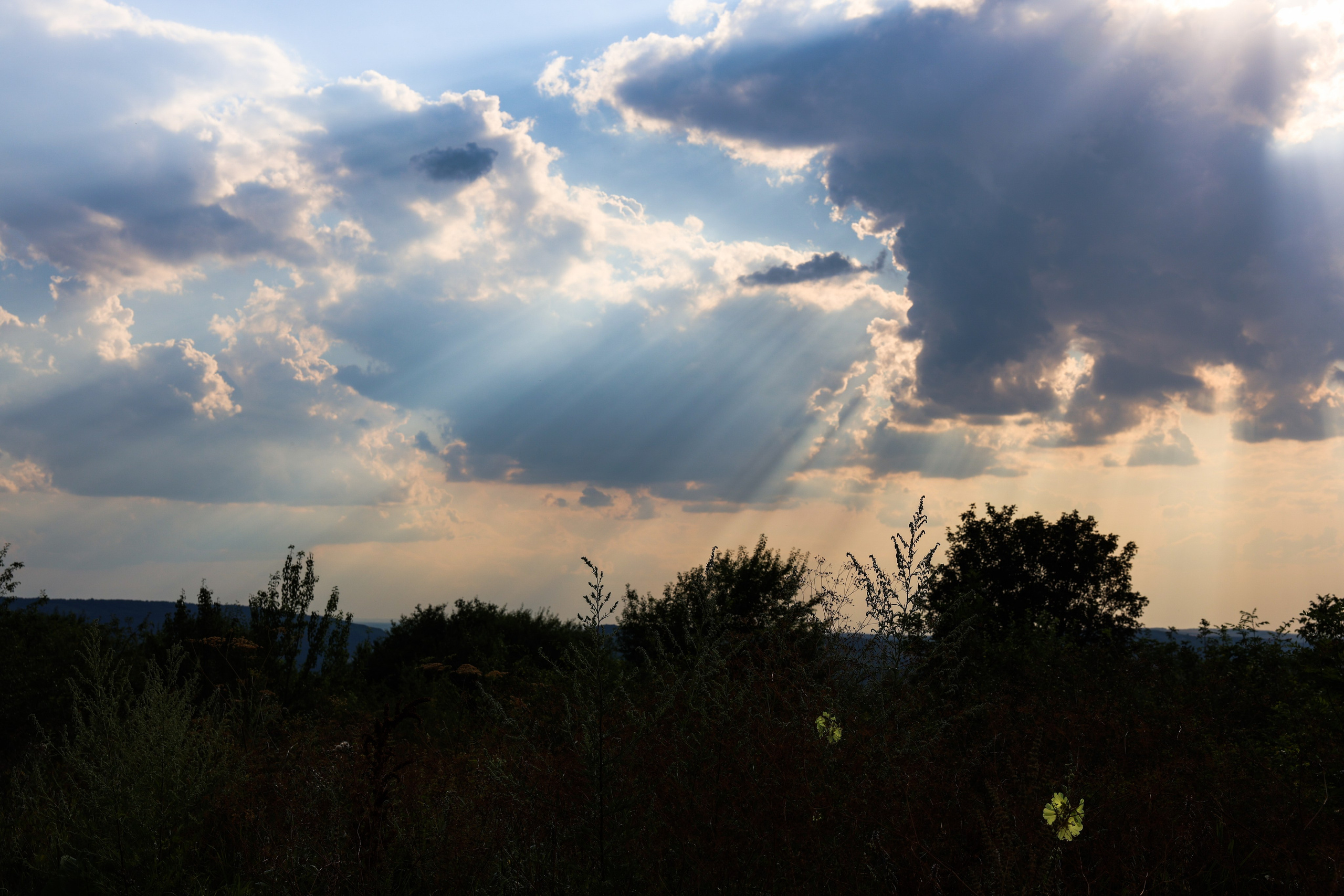 Фотограф Мария Алексеева. Мария Алексеева. Фотограф в Москве