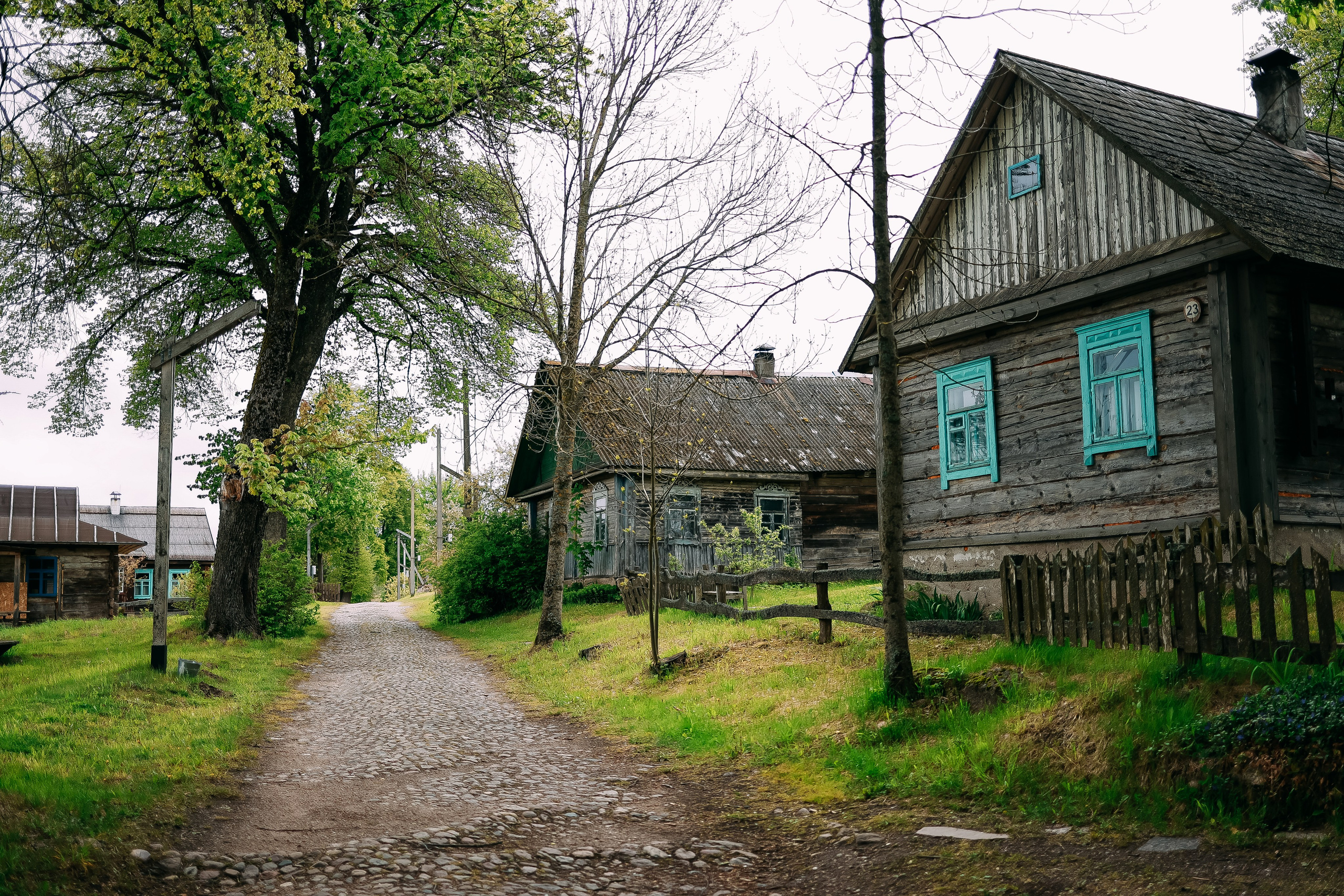 Белые Луга. Детский и семейный фотограф Малых Ольга г. Салехард